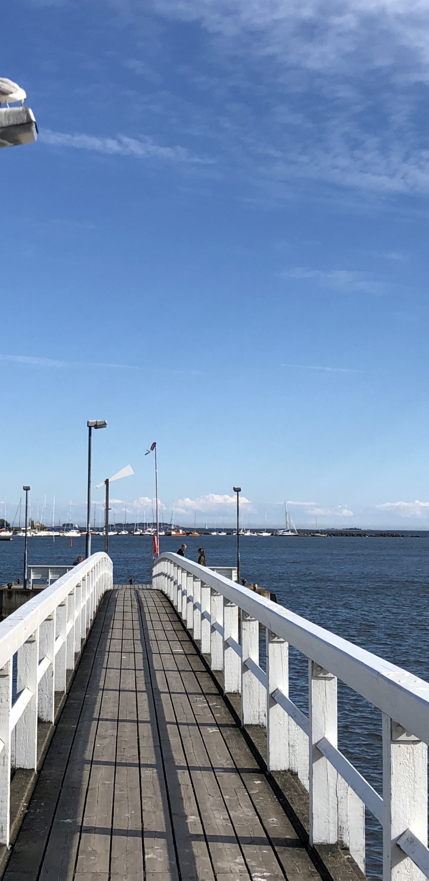 Meer, Wasser, Street Light, Wasserstraße, Horizont. Wallpaper in 1440x2960 Resolution