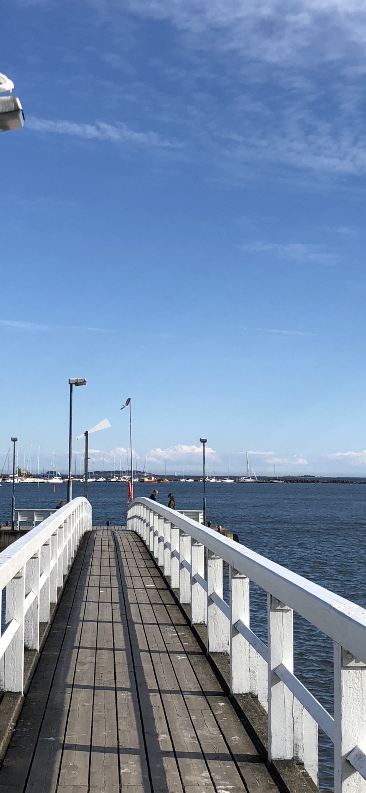 Sea, Water, Street Light, Waterway, Horizon. Wallpaper in 1242x2688 Resolution