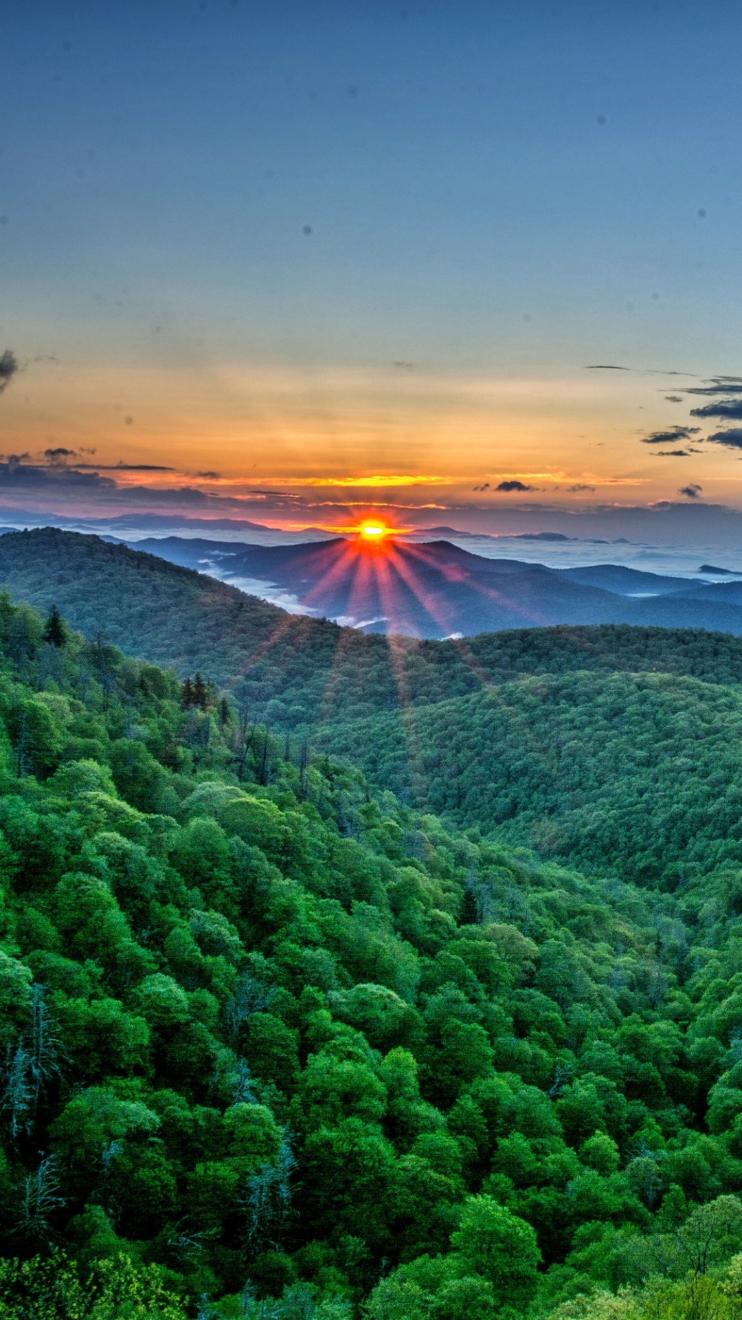 Green Trees on Mountain During Sunset. Wallpaper in 1080x1920 Resolution