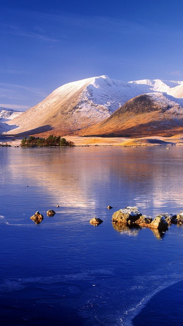 Brown and White Dogs on Water Near Mountain During Daytime. Wallpaper in 720x1280 Resolution