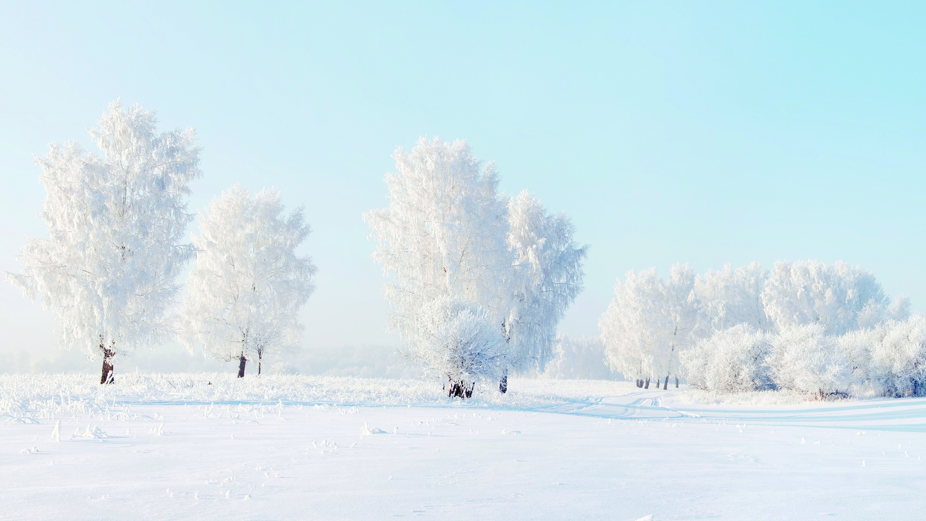 Personnes Marchant Sur un Terrain Couvert de Neige Pendant la Journée. Wallpaper in 3840x2160 Resolution