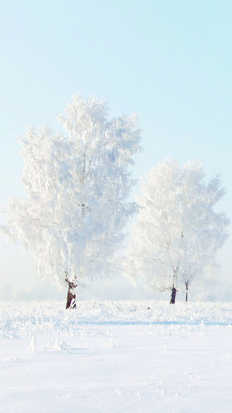 Personnes Marchant Sur un Terrain Couvert de Neige Pendant la Journée. Wallpaper in 750x1334 Resolution