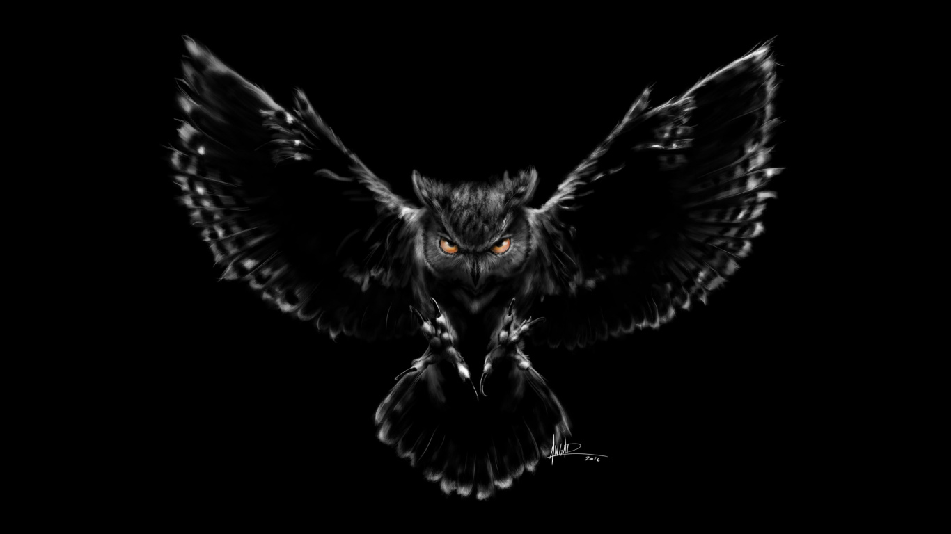 Hibou Noir, le Hibou Royal, la Chevêche D', Chouette à Bandes Noires, Grand-duc Fuligineux. Wallpaper in 1366x768 Resolution