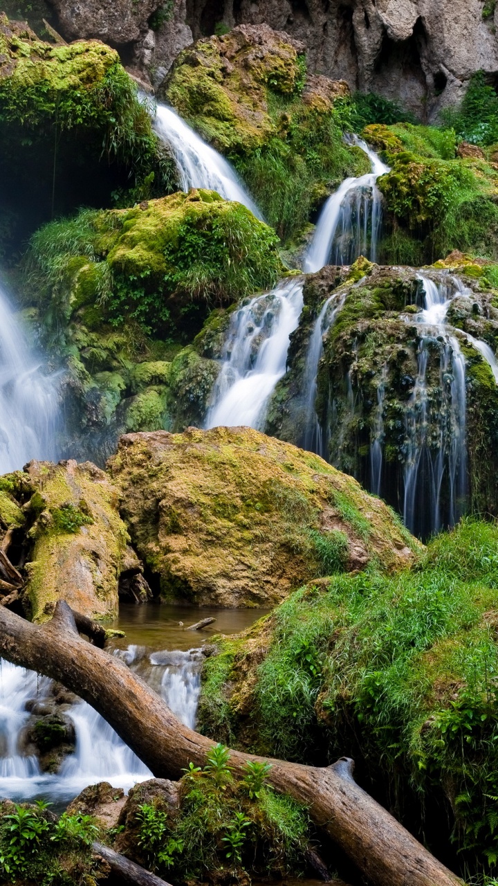 Water Falls on Brown Wooden Log. Wallpaper in 720x1280 Resolution