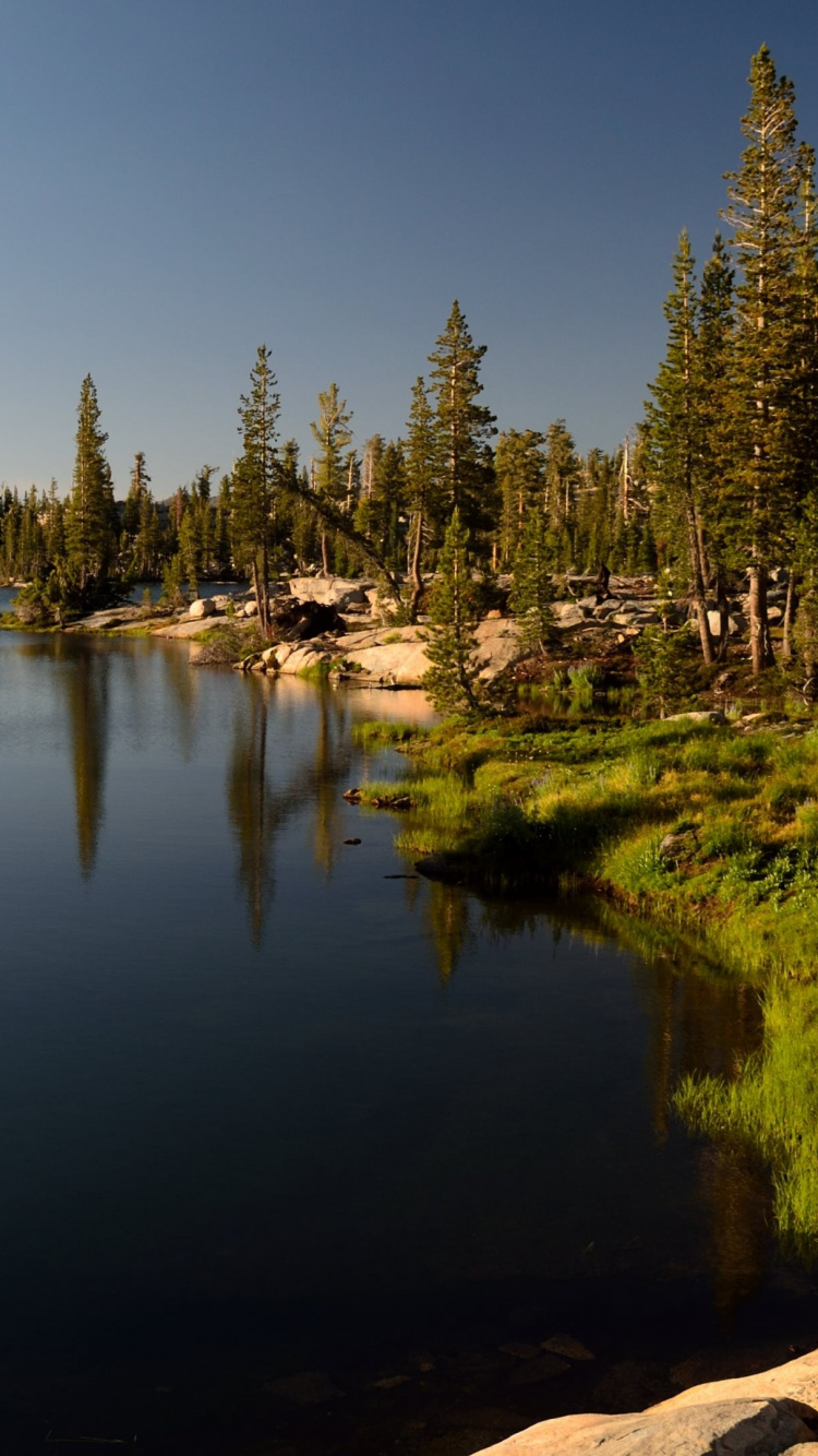 Arbres Verts à Côté D'un Plan D'eau Pendant la Journée. Wallpaper in 750x1334 Resolution