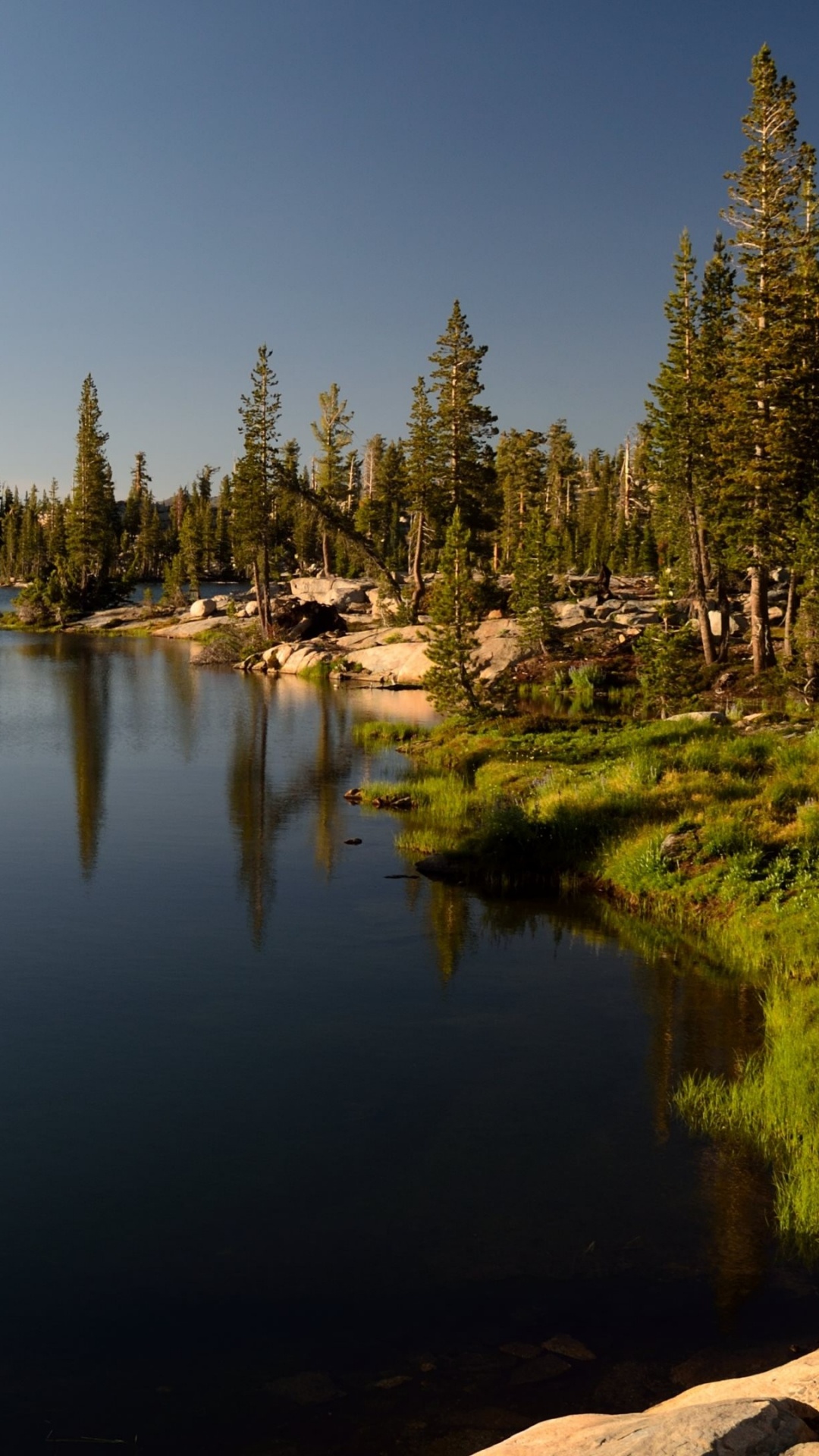 性质, 反射, 人体内的水, 荒野, 银行 壁纸 1080x1920 允许
