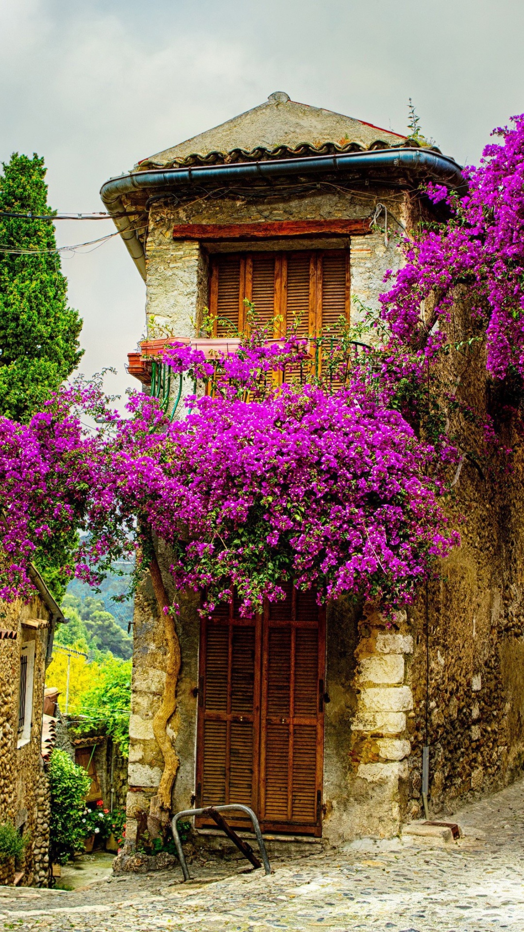 Flores Púrpuras en Edificio de Hormigón Marrón. Wallpaper in 1080x1920 Resolution