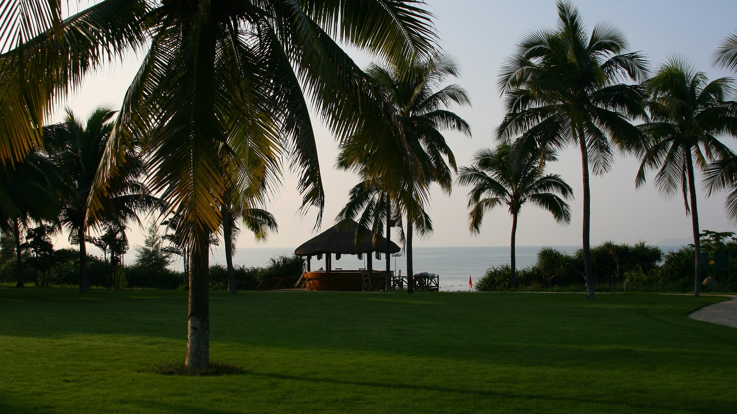 Palm Tree Near Body of Water During Daytime. Wallpaper in 2560x1440 Resolution
