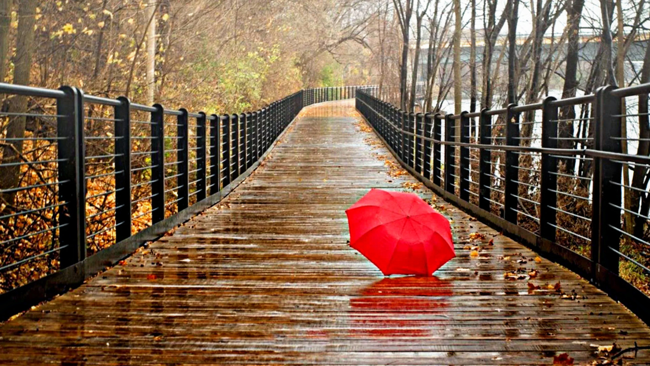 Parapluie Rouge Sur le Pont, Parapluie, Red, Eau, Lumière. Wallpaper in 1280x720 Resolution