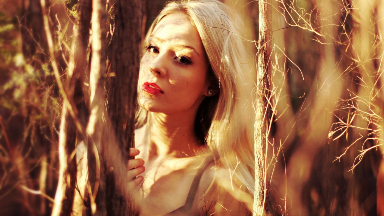 Schönheit, Blonde, Haar, Sonnenlicht, Lange Haare. Wallpaper in 1280x720 Resolution