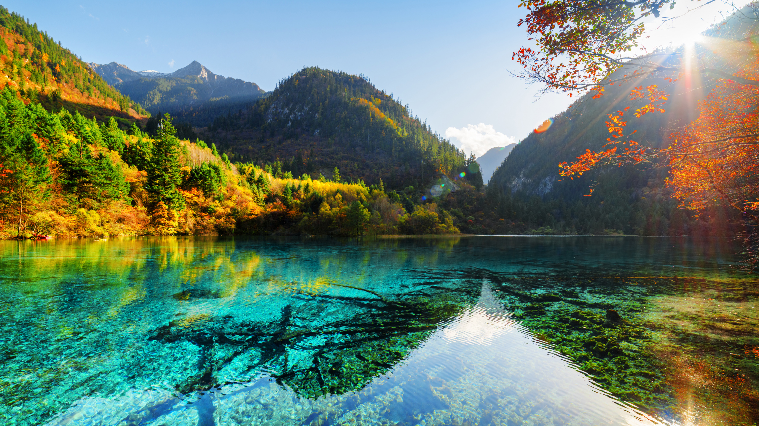 Grüne Bäume in Der Nähe Des Sees Tagsüber Lake. Wallpaper in 2560x1440 Resolution