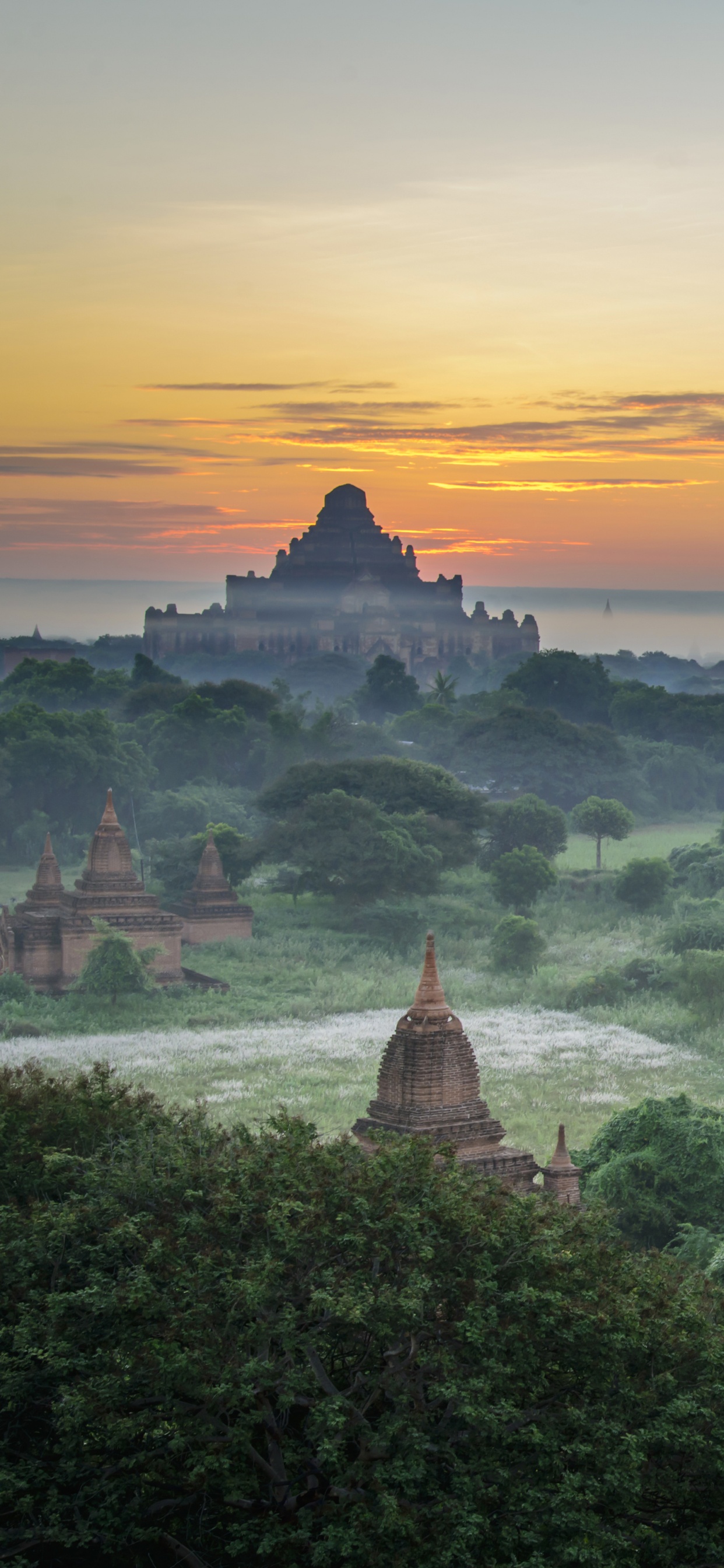 Arbres et Plantes Verts Pendant la Journée. Wallpaper in 1242x2688 Resolution