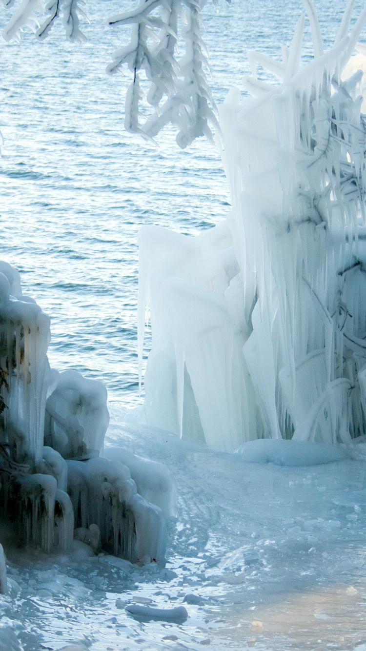 Snow Covered Trees During Daytime. Wallpaper in 750x1334 Resolution
