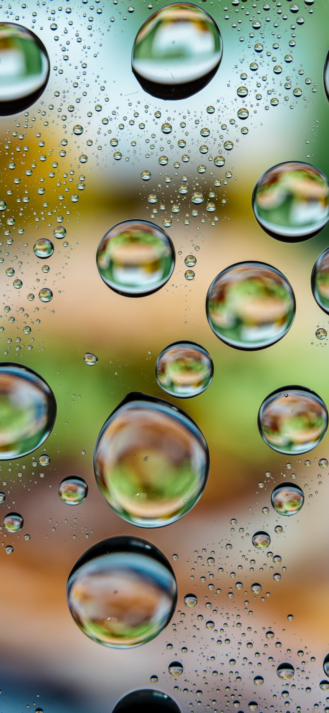 Agua, Naturaleza, Líquido, Circulo, Planta Terrestre. Wallpaper in 1125x2436 Resolution