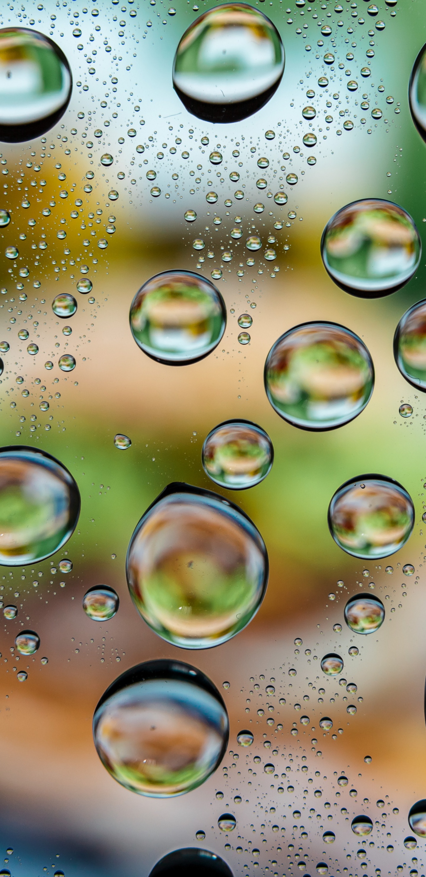 Eau, Liquid, Nature, Fluide, Cercle. Wallpaper in 1440x2960 Resolution