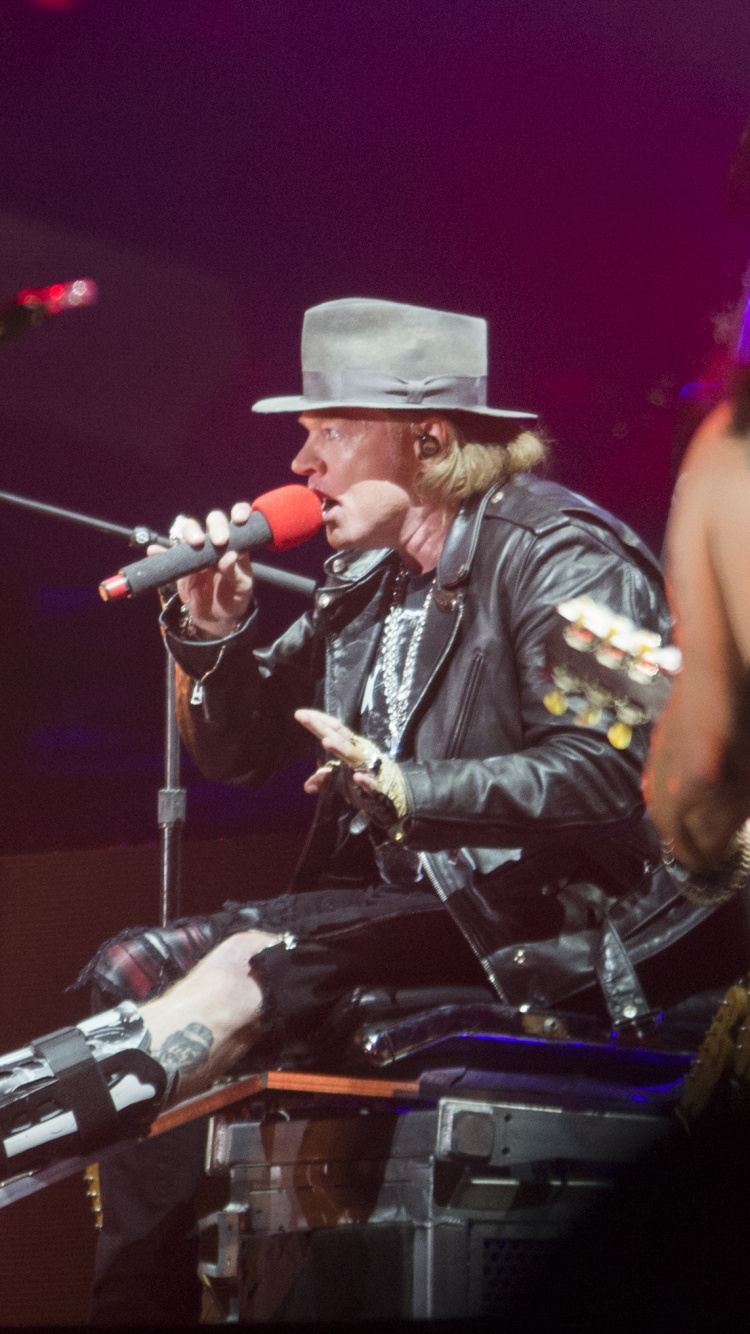 el Artista de Música, Concierto de Rock, el Conjunto Musical, Músico, Concierto. Wallpaper in 750x1334 Resolution