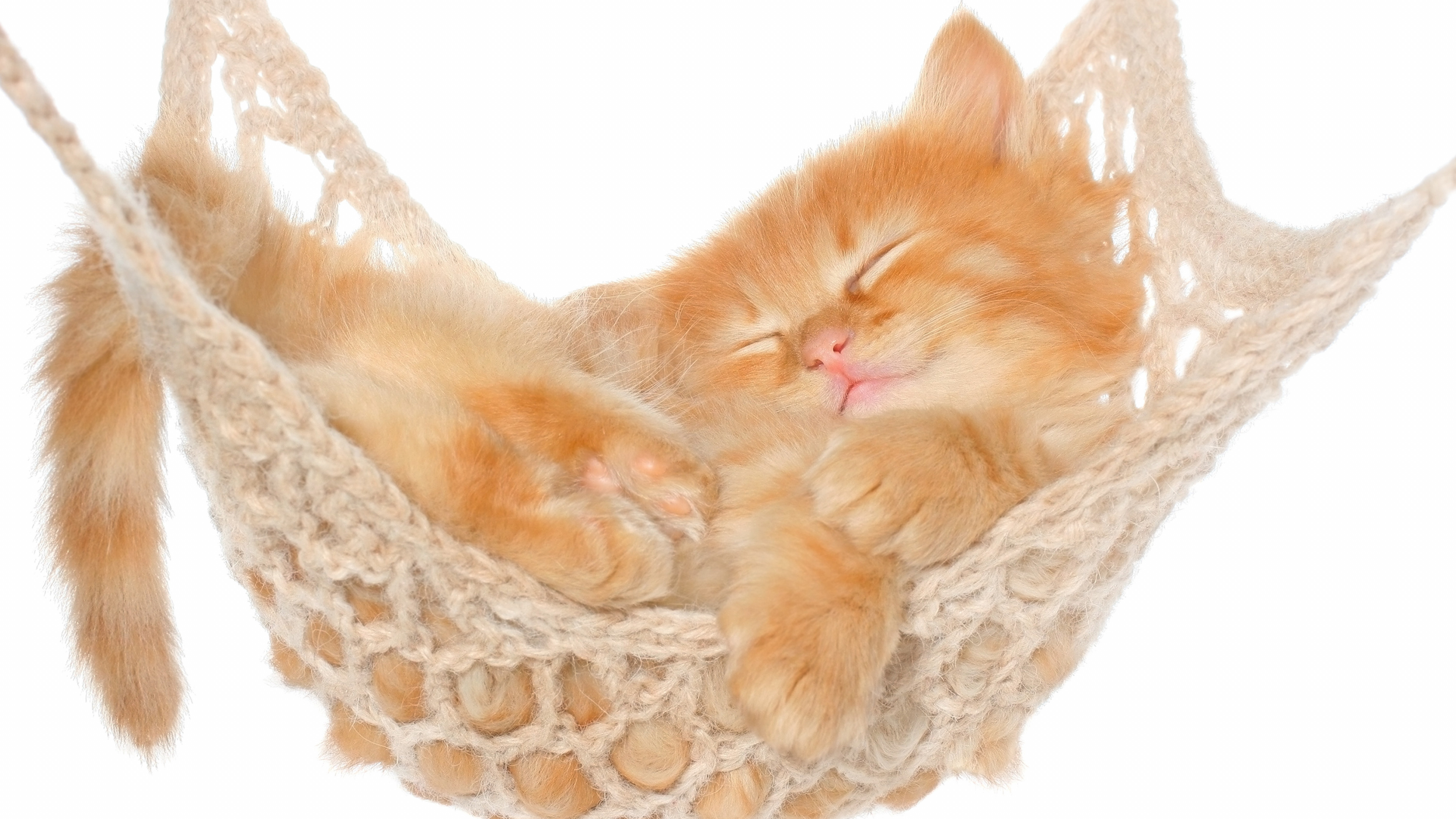 Orange Getigerte Katze Auf Weißem Gehäkeltem Textil. Wallpaper in 3840x2160 Resolution