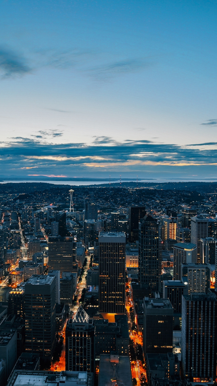 Skyline Der Stadt in Der Nähe Von Gewässern Während Der Nacht. Wallpaper in 750x1334 Resolution