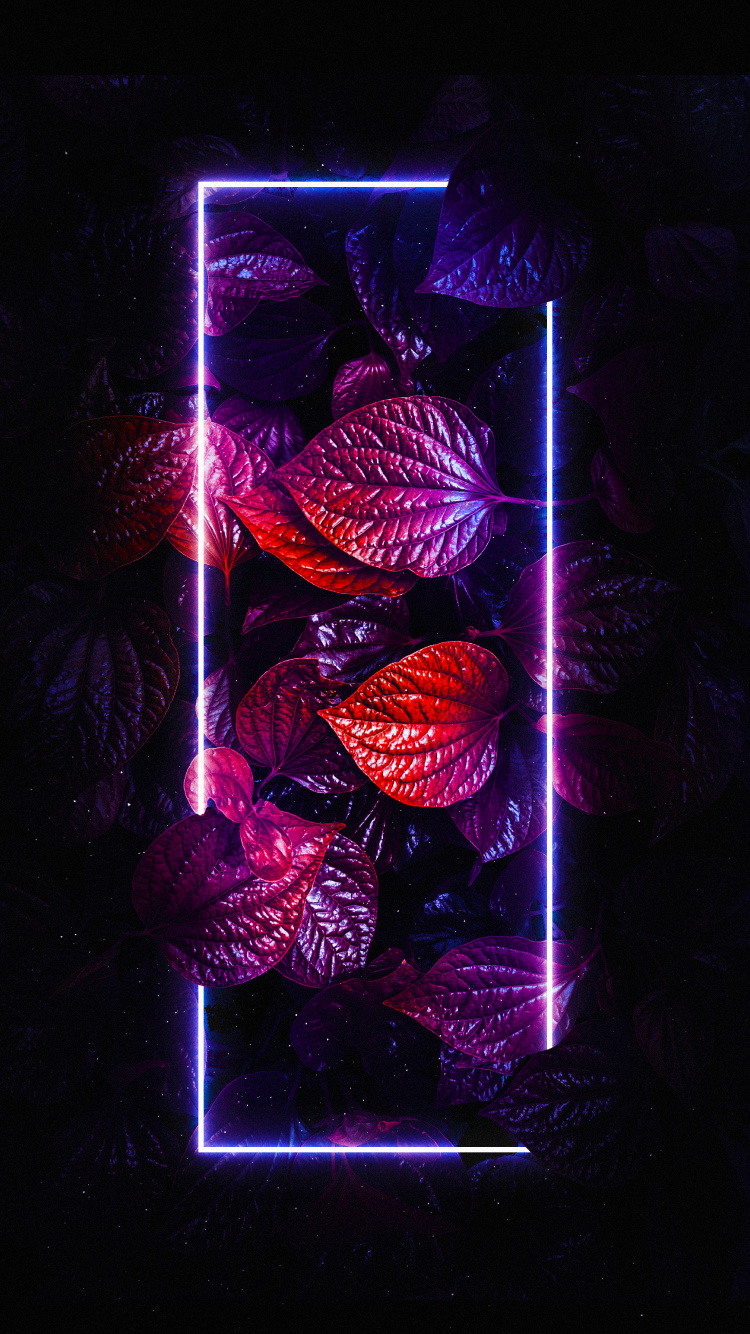 Smartphone, Purple, Magenta, Art, Fenêtre. Wallpaper in 750x1334 Resolution