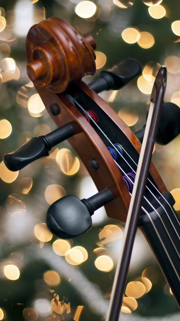 Cello, Bokeh, Violine Familie, Musik, Streichinstrument. Wallpaper in 720x1280 Resolution