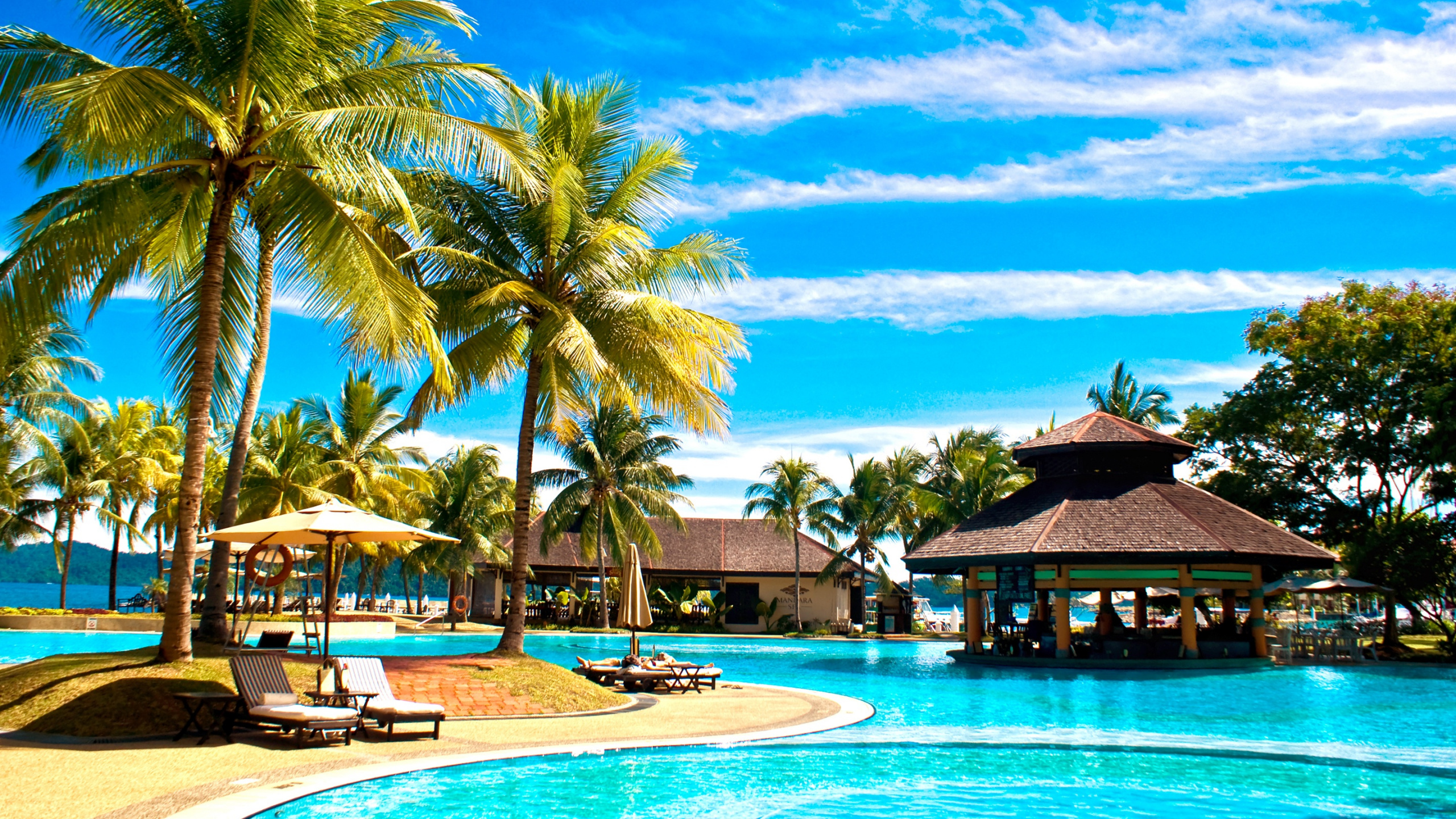 Brown Wooden House Near Palm Trees and Body of Water During Daytime. Wallpaper in 2560x1440 Resolution
