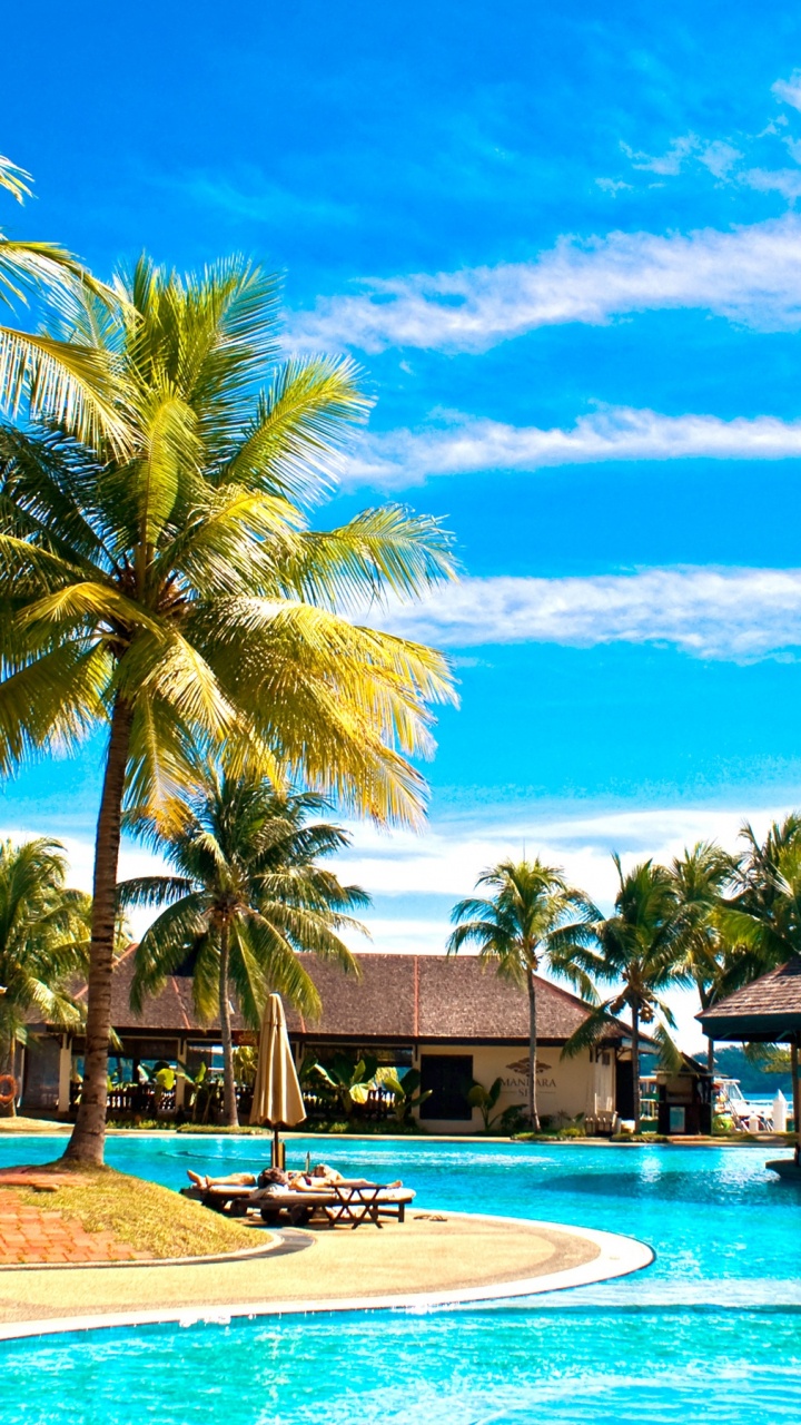 Brown Wooden House Near Palm Trees and Body of Water During Daytime. Wallpaper in 720x1280 Resolution