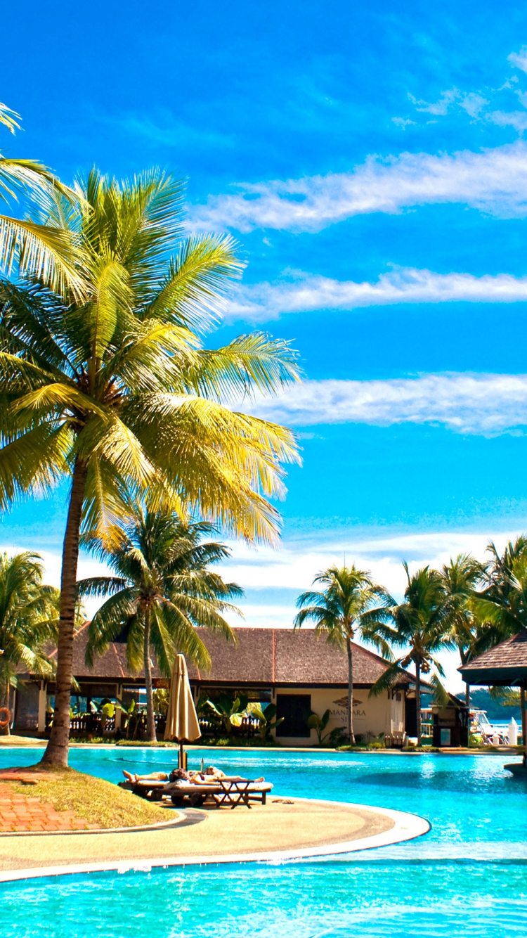 Brown Wooden House Near Palm Trees and Body of Water During Daytime. Wallpaper in 750x1334 Resolution