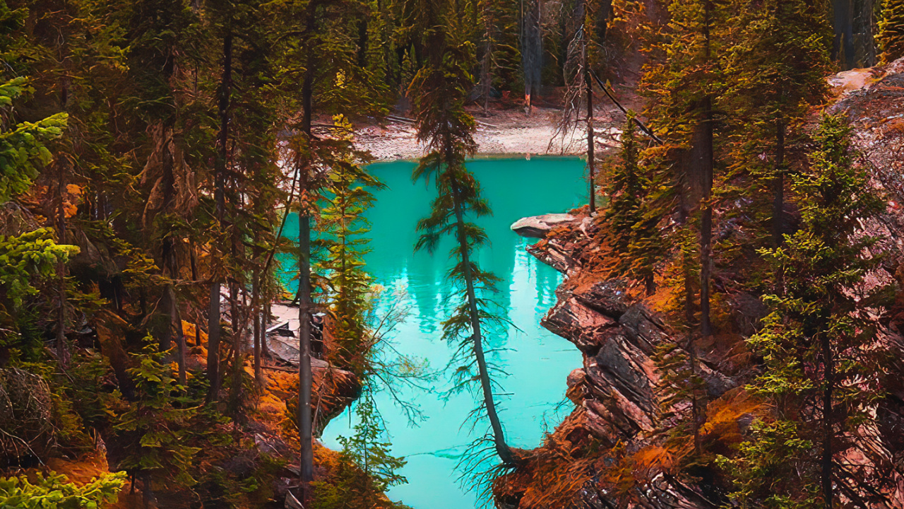 Larch, Damaksnis, Riparian Forest, Water, Natural Landscape. Wallpaper in 1280x720 Resolution