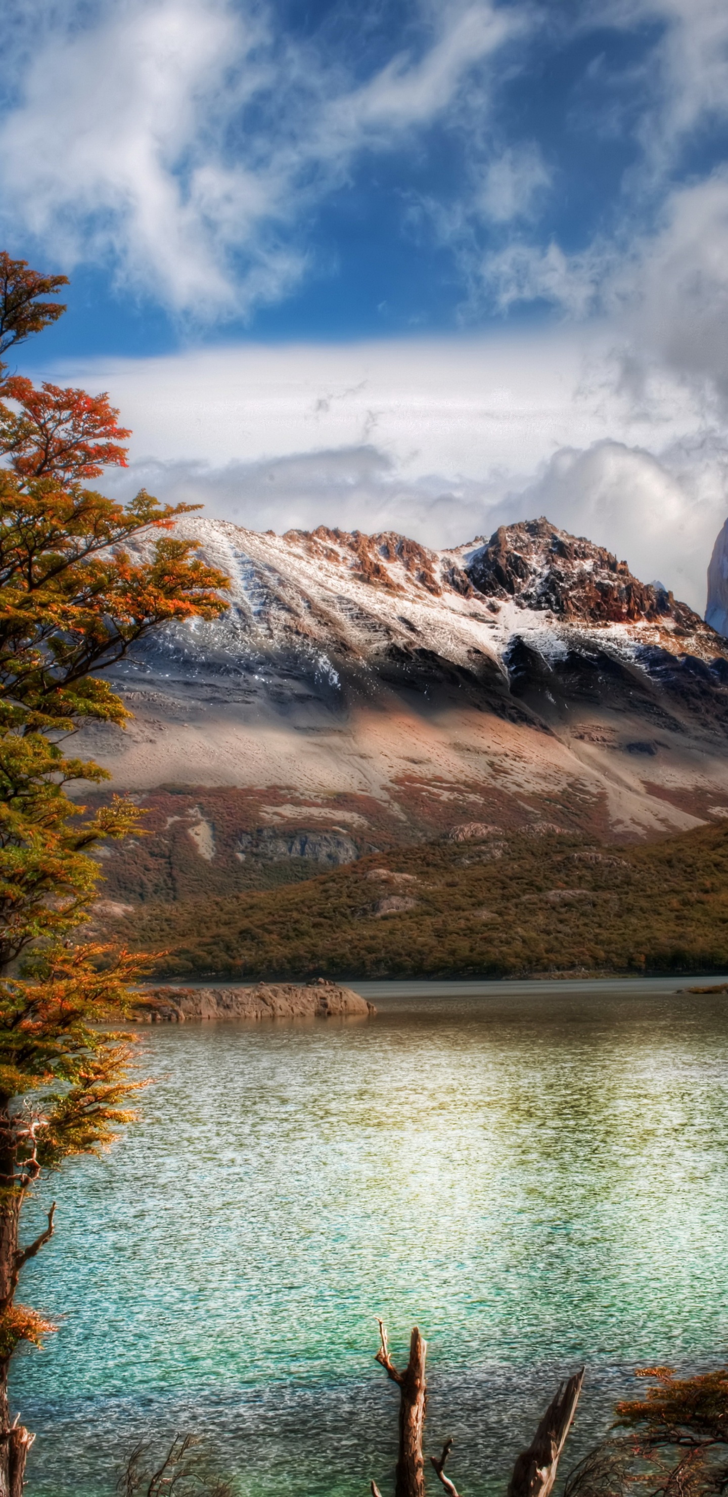 Braune Bäume in Der Nähe Von See Und Bergen Unter Weißen Wolken Und Blauem Himmel Tagsüber. Wallpaper in 1440x2960 Resolution