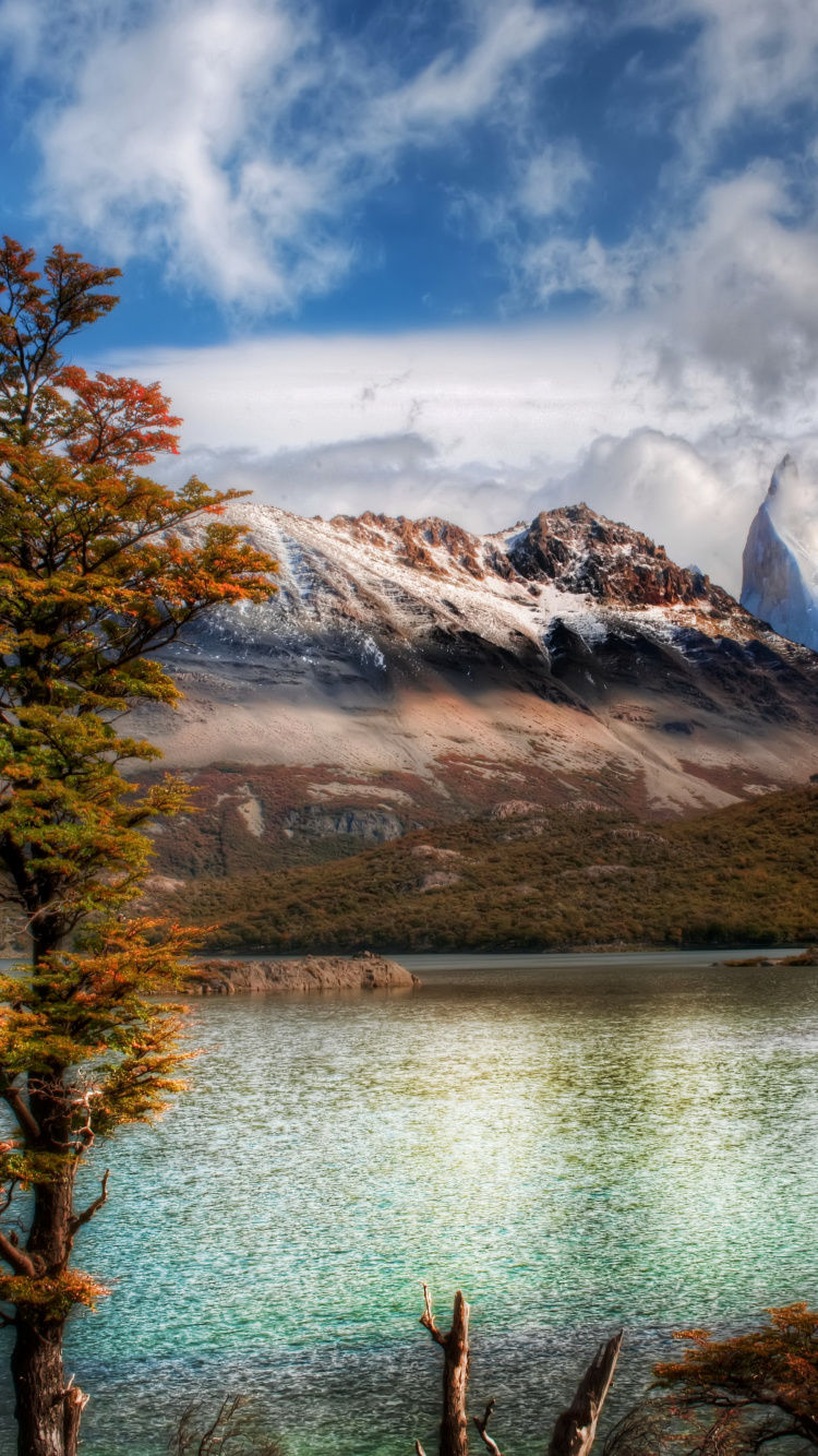 Brown Trees Near Lake and Mountains Under White Clouds and Blue Sky During Daytime. Wallpaper in 750x1334 Resolution
