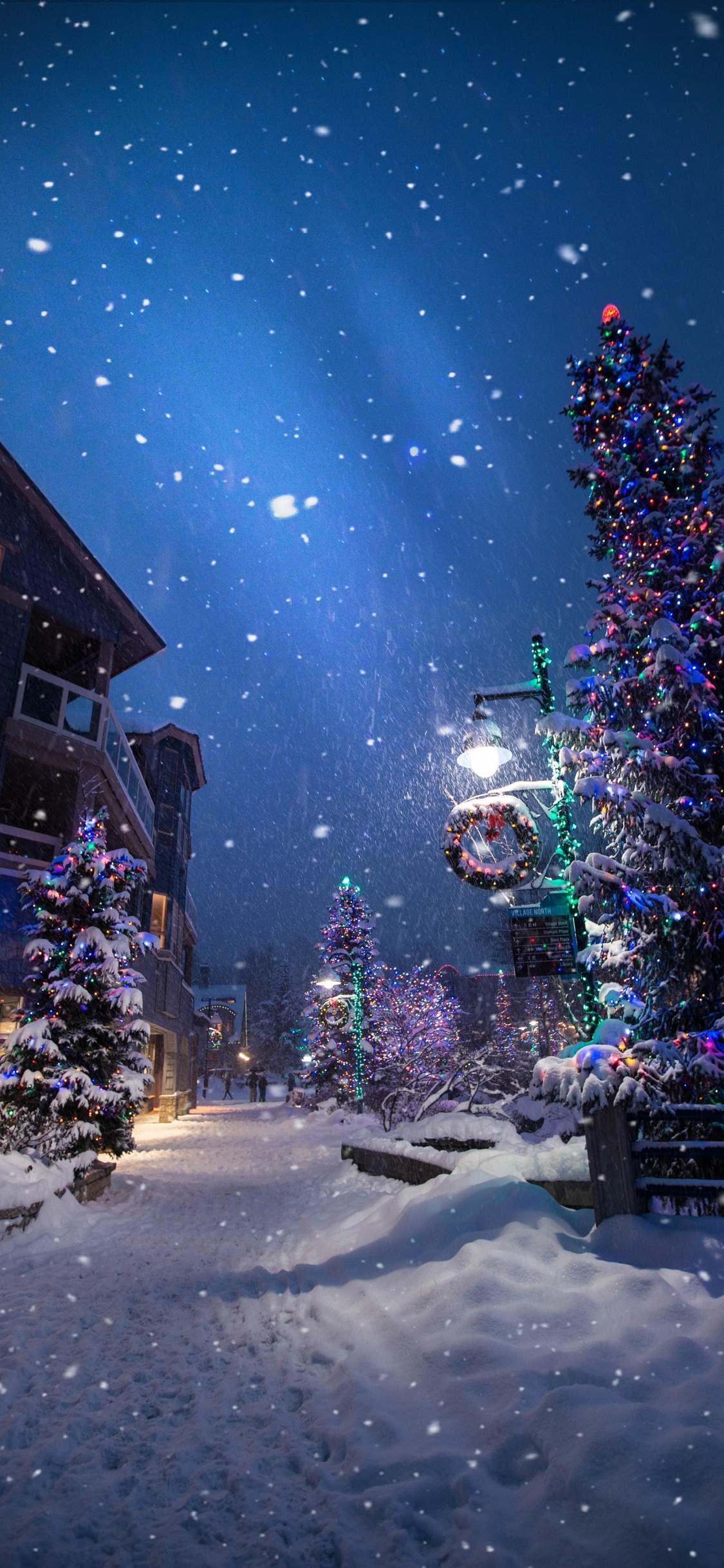 Christmas Day, Christmas Tree, Winter, Snow, Night. Wallpaper in 1125x2436 Resolution