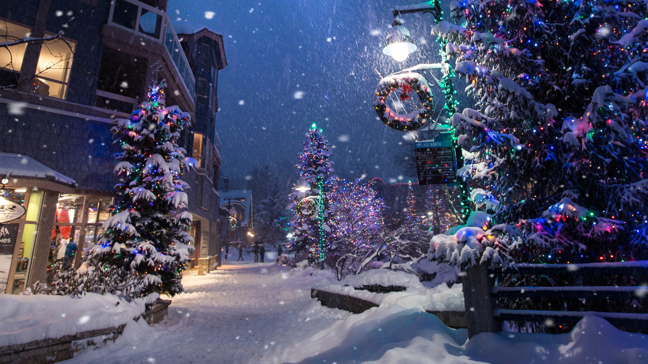 Weihnachten, Weihnachtsbaum, Winter, Schnee, Nacht. Wallpaper in 1280x720 Resolution