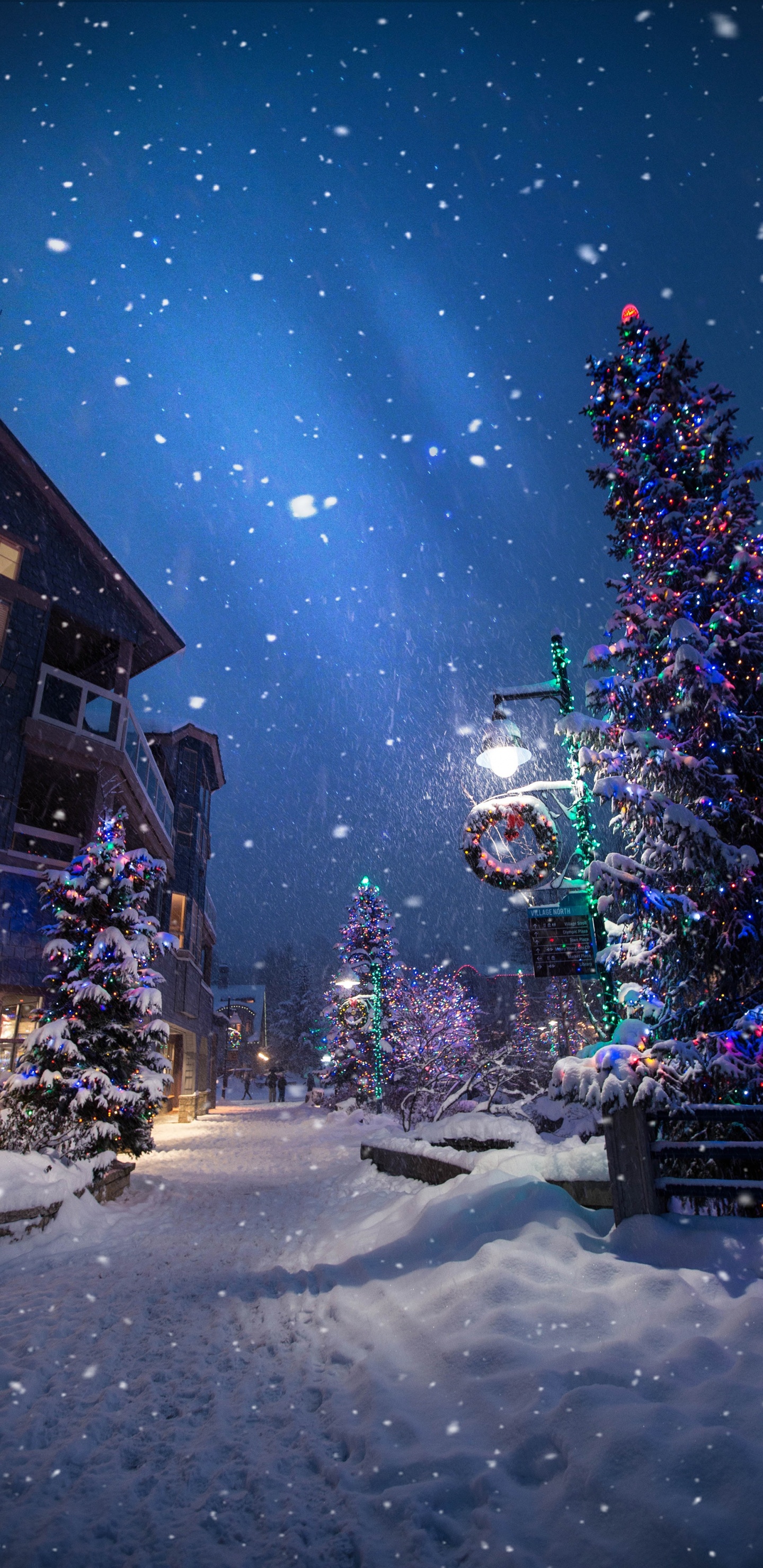 Weihnachten, Weihnachtsbaum, Winter, Schnee, Nacht. Wallpaper in 1440x2960 Resolution