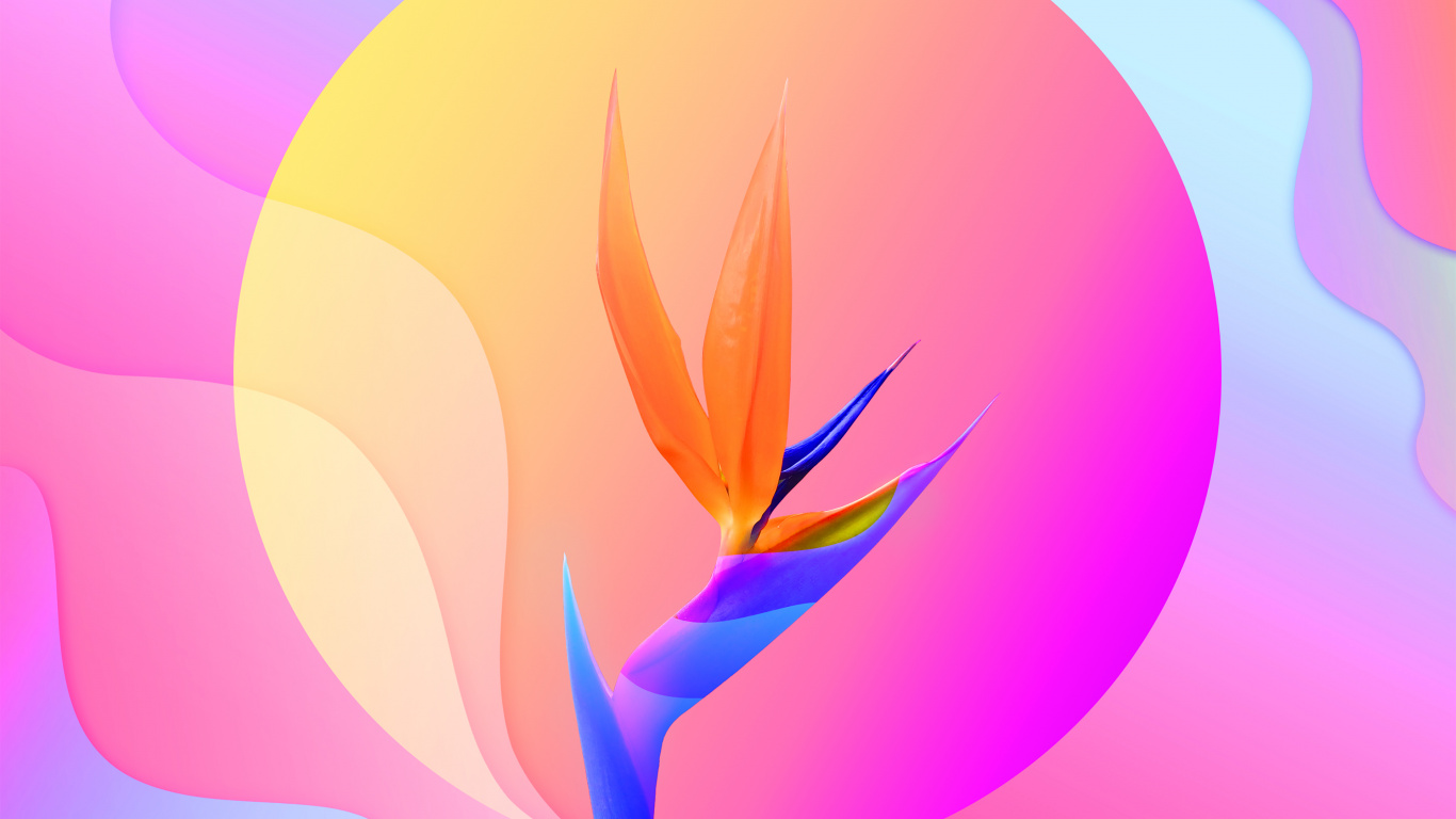 Flower Colorful 3d, Flower, Flowering Plant, Floral Design, Plant. Wallpaper in 1366x768 Resolution