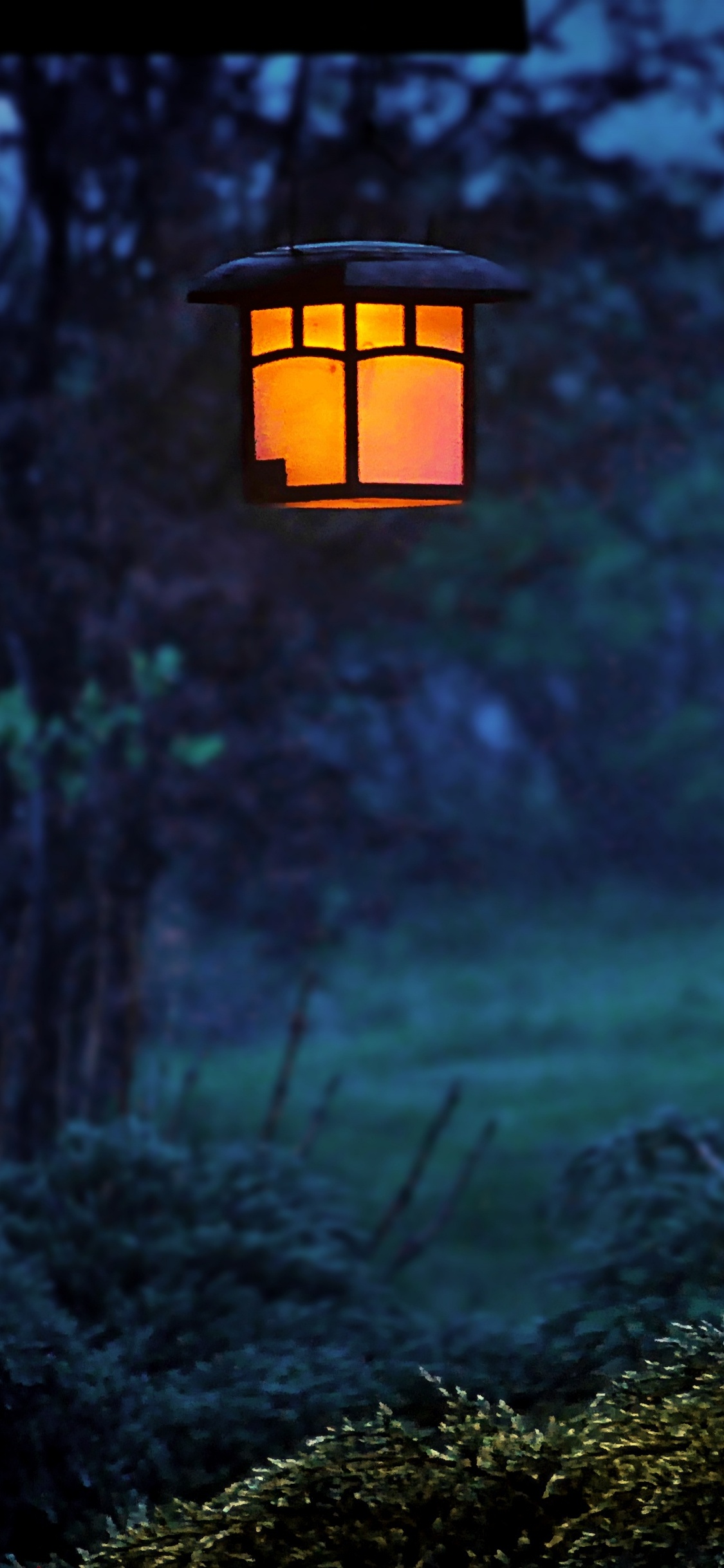 Black and White Lamp Post. Wallpaper in 1125x2436 Resolution