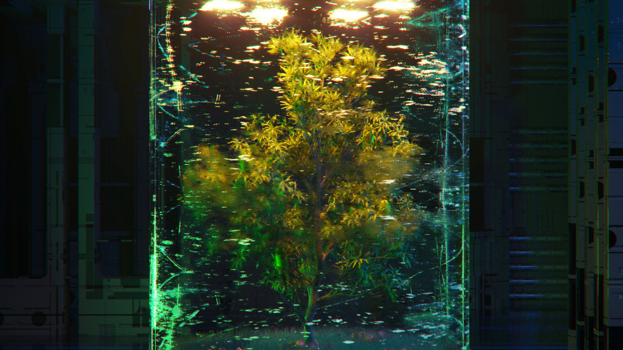Arbre Vert Dans un Aquarium en Verre Transparent. Wallpaper in 1280x720 Resolution