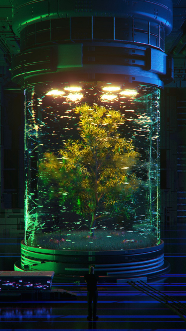Grüner Baum im Klarglas-Aquarium. Wallpaper in 720x1280 Resolution