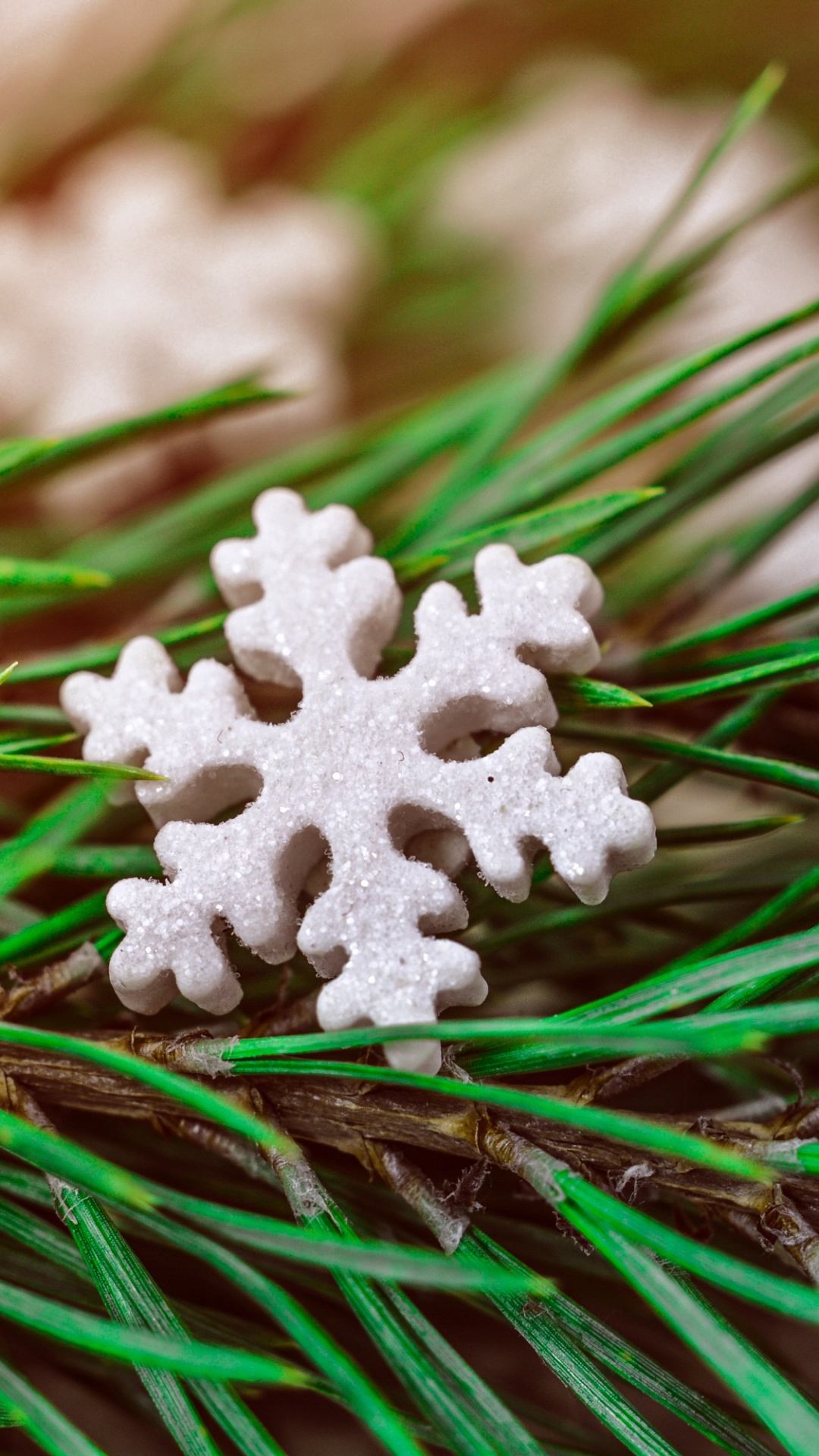 Le Jour De Noël, Evergreen, Pin, Pin Rouge, Famille Des Pins. Wallpaper in 1080x1920 Resolution