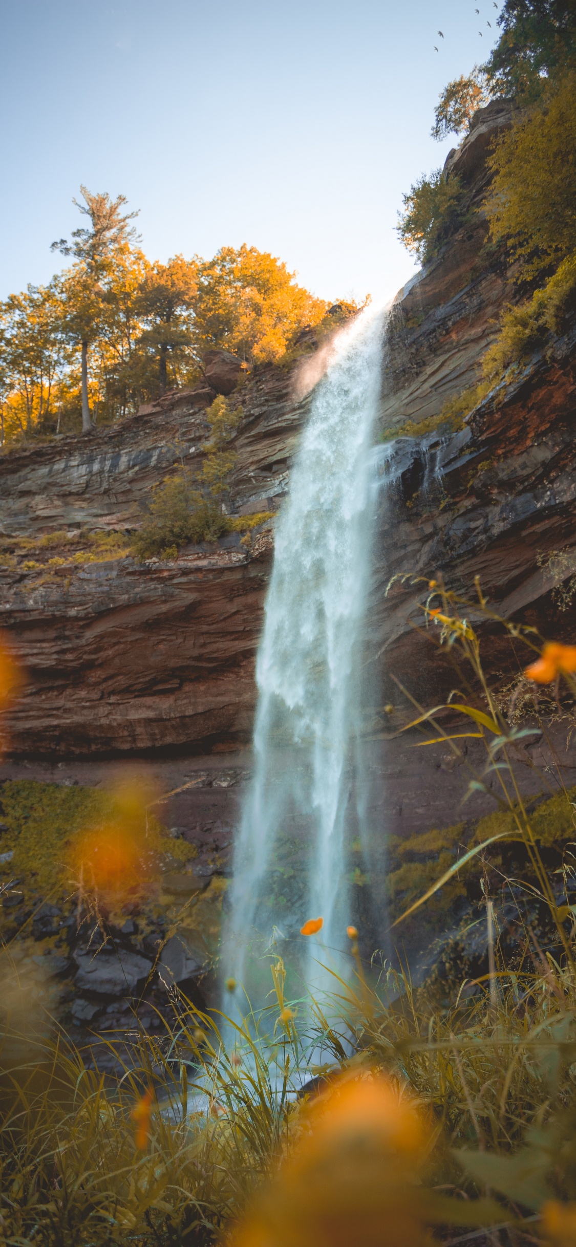 Río, Agua, la Reserva Natural De, Los Recursos de Agua, Paisaje Natural. Wallpaper in 1125x2436 Resolution