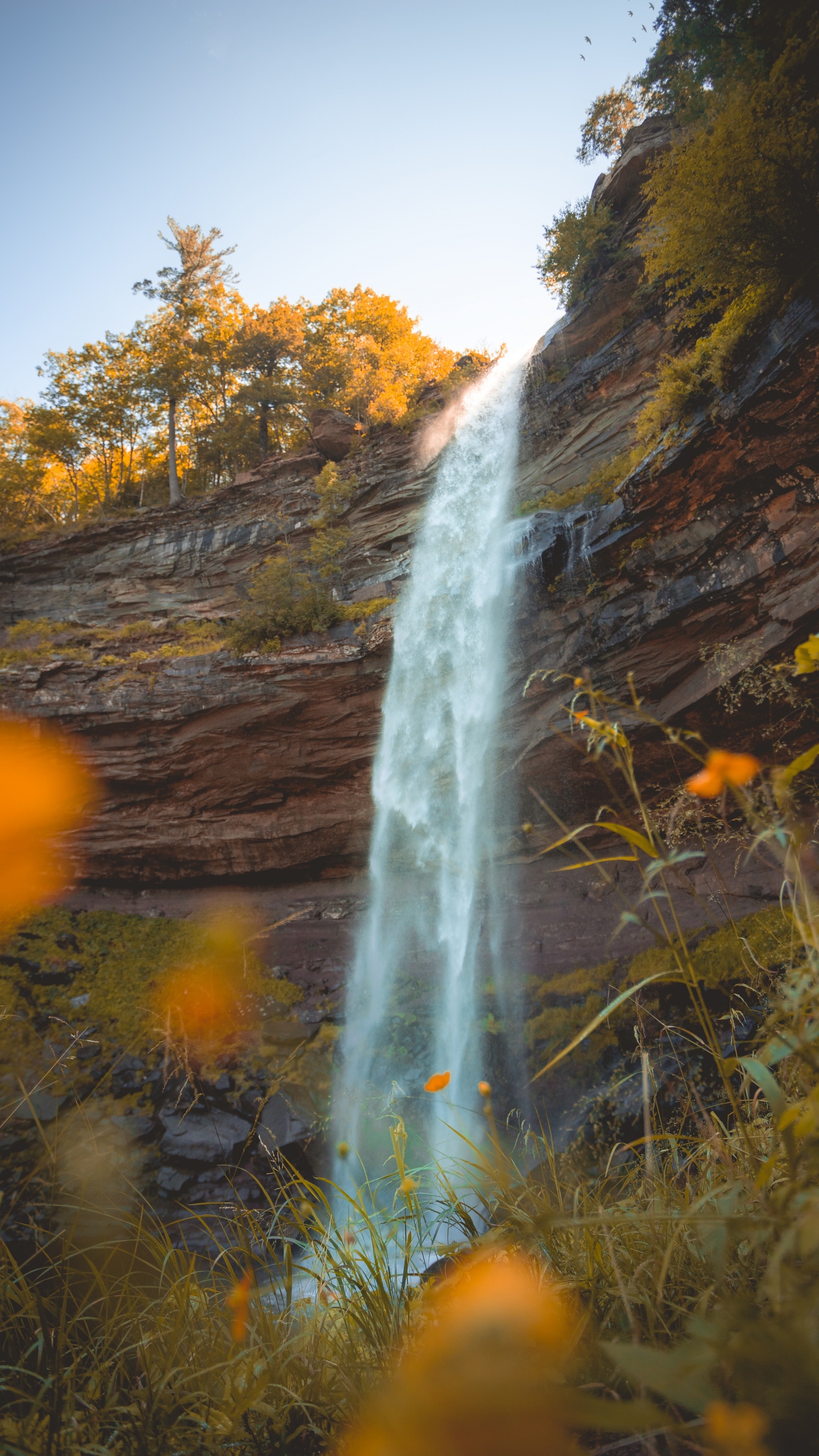 Río, Agua, la Reserva Natural De, Los Recursos de Agua, Paisaje Natural. Wallpaper in 1440x2560 Resolution