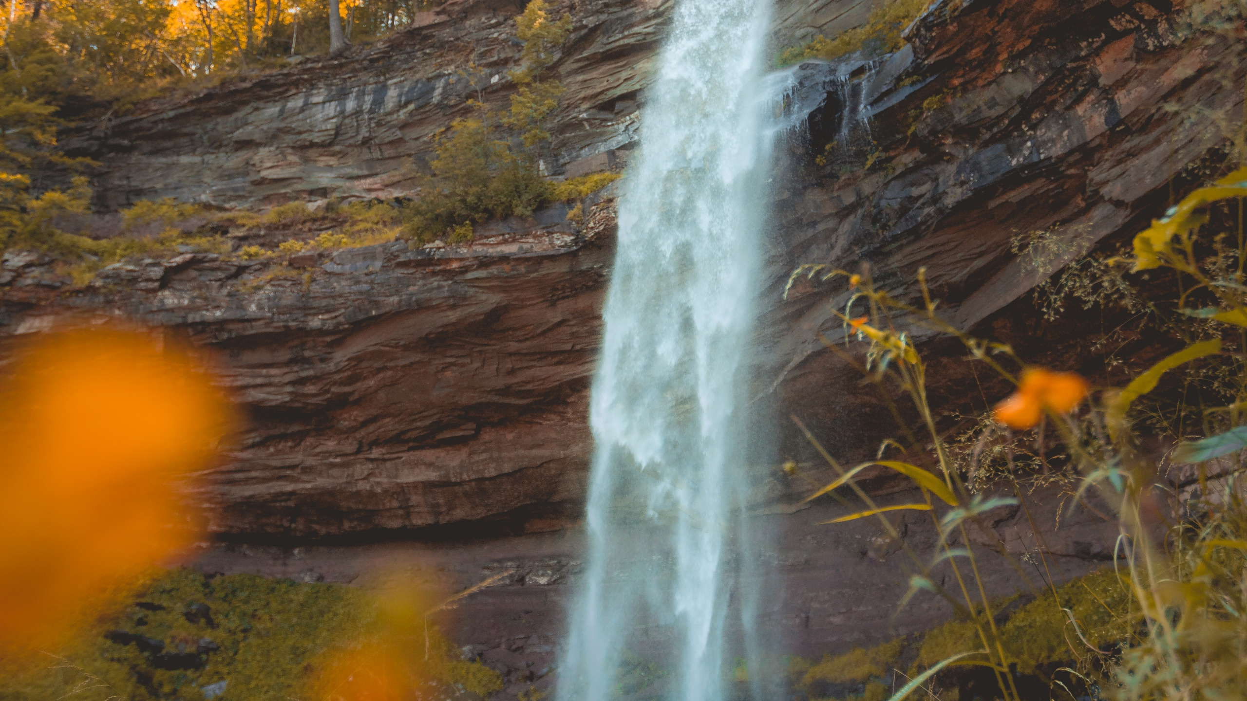 River, Water, Nature Reserve, Water Resources, Landscape. Wallpaper in 2560x1440 Resolution