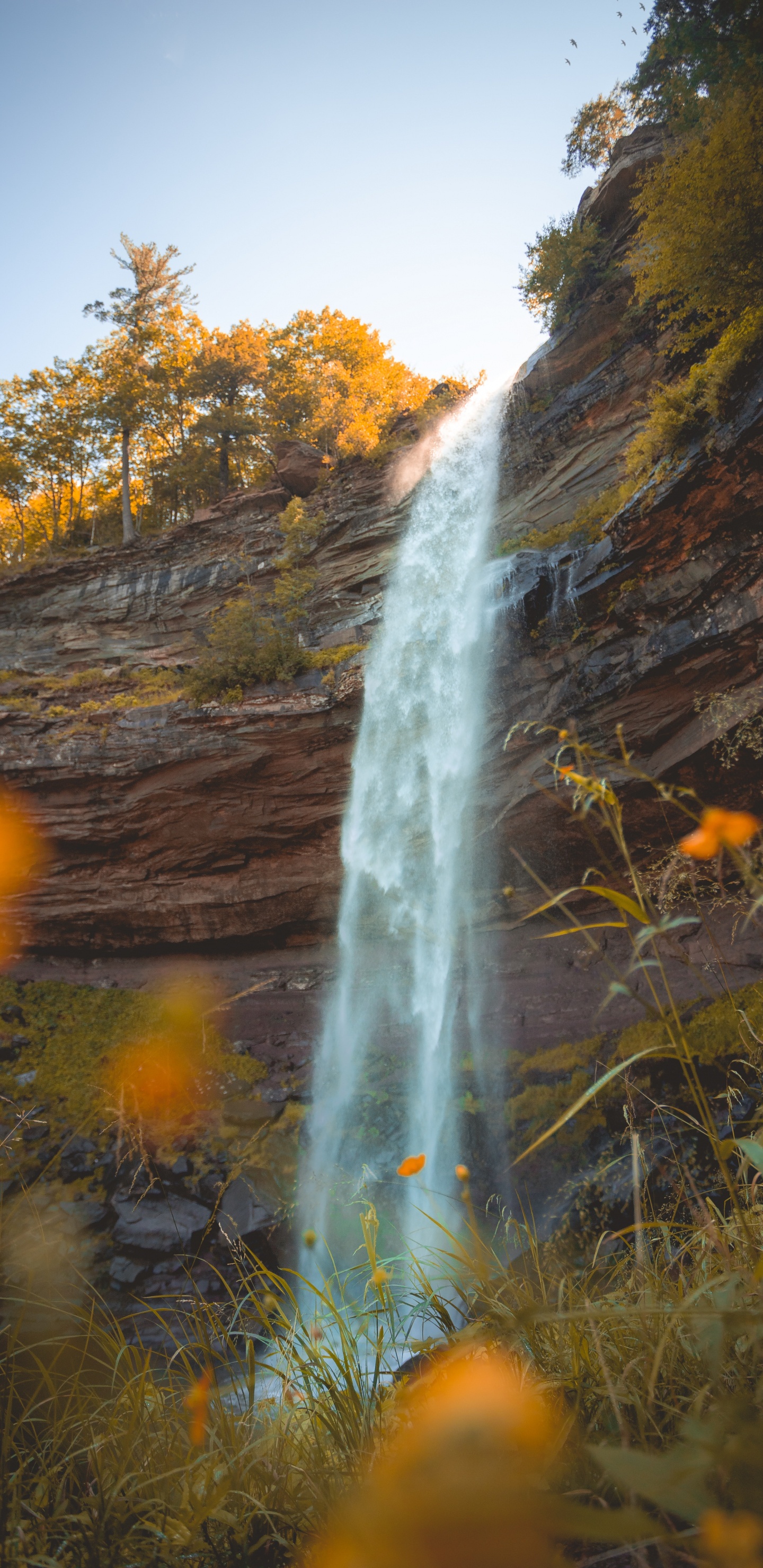 Rivière, Eau, la Réserve Naturelle De, Les Ressources en Eau, Paysage Naturel. Wallpaper in 1440x2960 Resolution