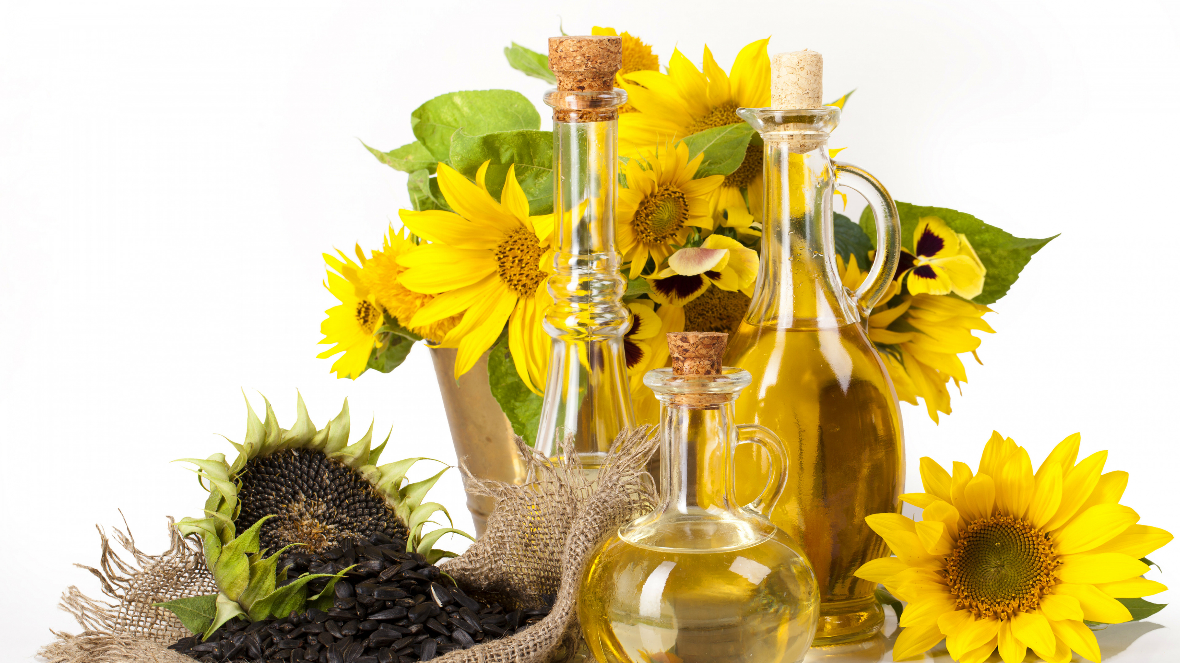 Sunflower Oil, Grape Seed Oil, Sunflowers, Sesame Oil, Sunflower Seed. Wallpaper in 3840x2160 Resolution