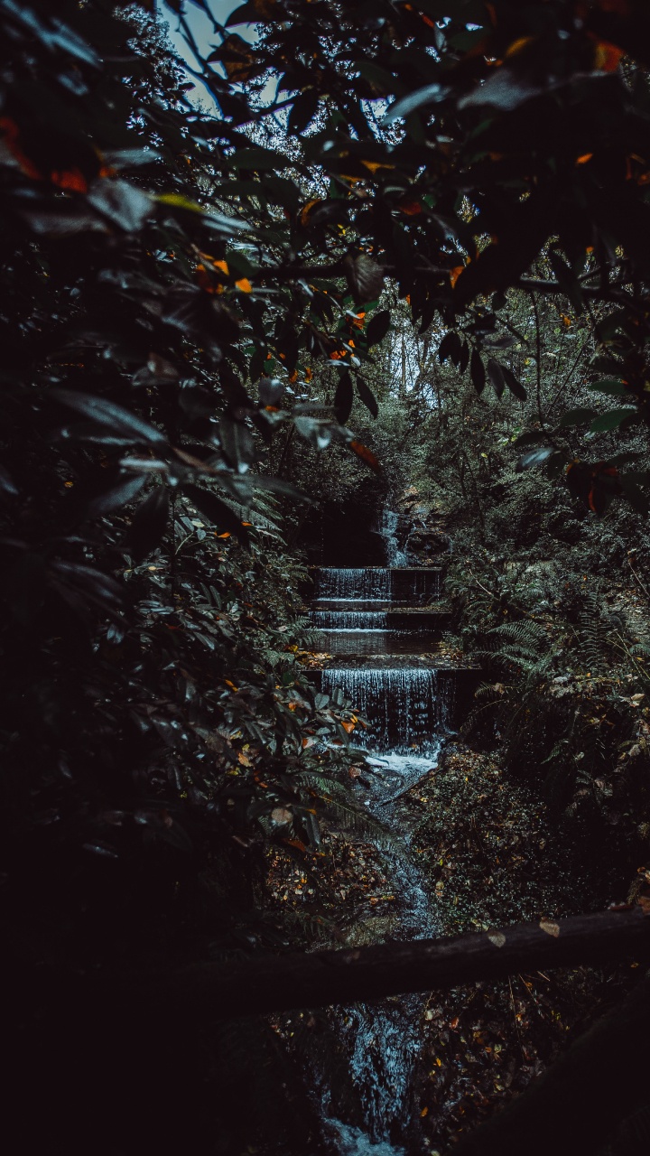 Entorno Natural, Negro, Naturaleza, Memorias de Medianoche, Sucursal. Wallpaper in 720x1280 Resolution