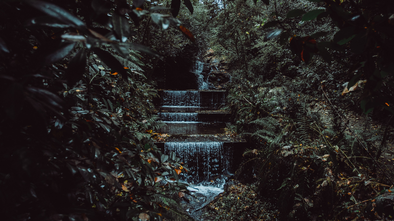 Environnement Naturel, Noir, Feuille, Nature, Nuit. Wallpaper in 1366x768 Resolution