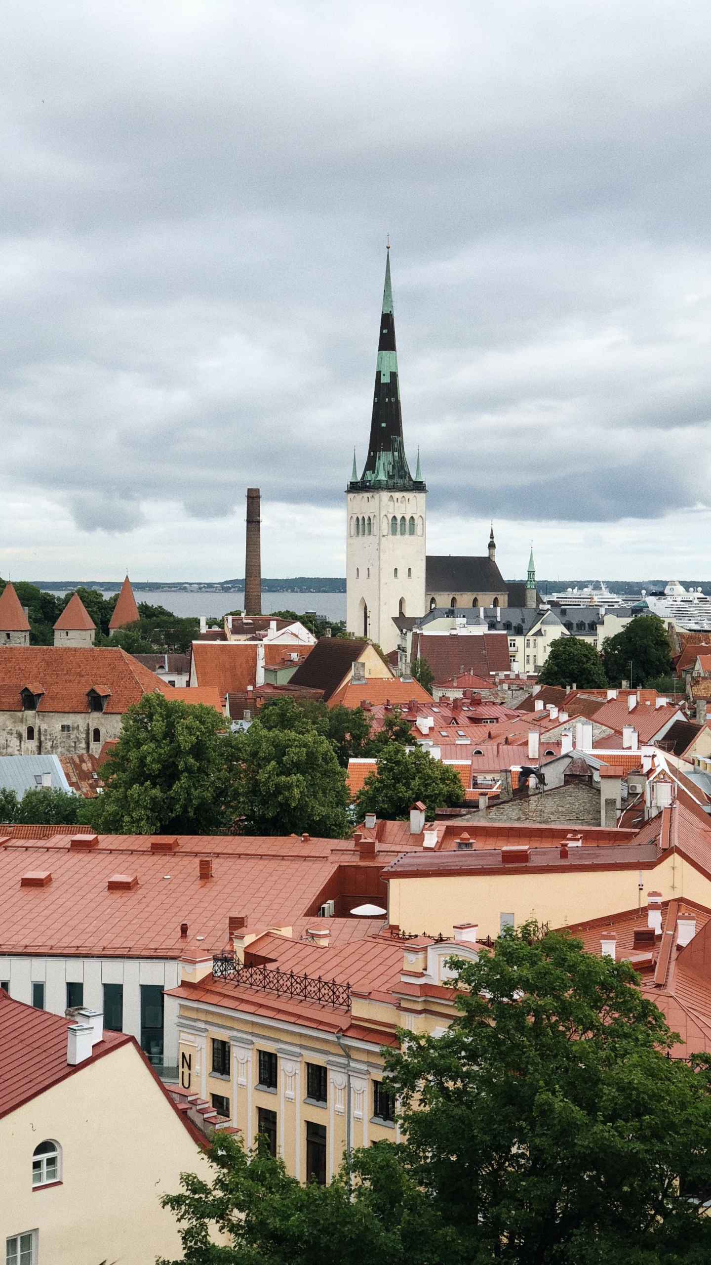 Tallinn, Kohtuotsa Viewing Platform, Toompea, Toompea Castle, Window. Wallpaper in 1440x2560 Resolution