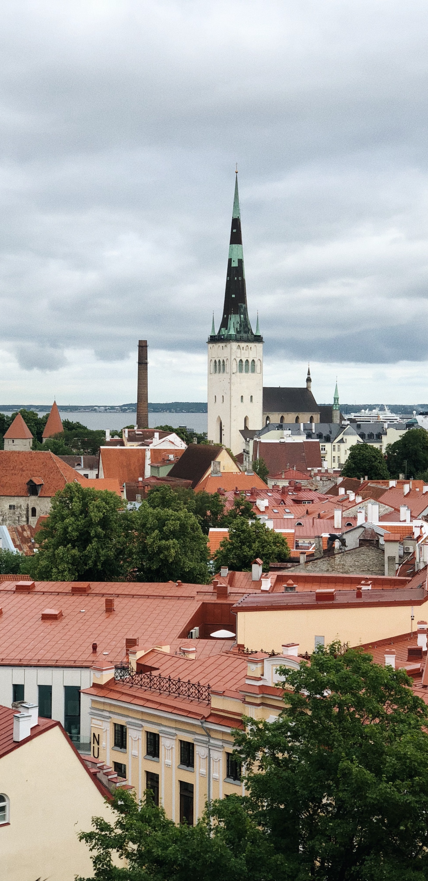 Tallinn, Kohtuotsa Viewing Platform, Toompea, Toompea Castle, Window. Wallpaper in 1440x2960 Resolution