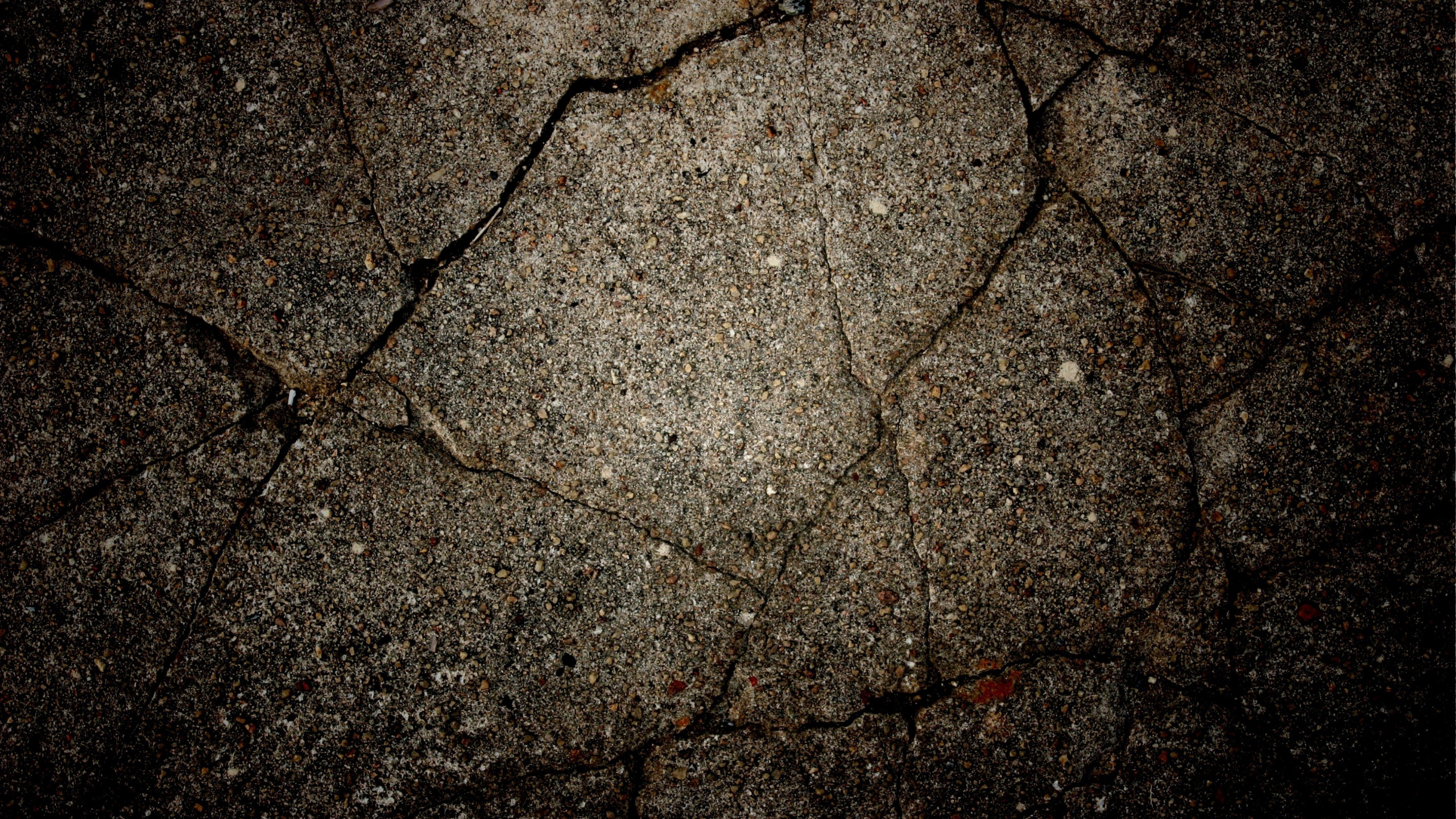 Brown Dried Leaves on Gray Concrete Floor. Wallpaper in 2560x1440 Resolution