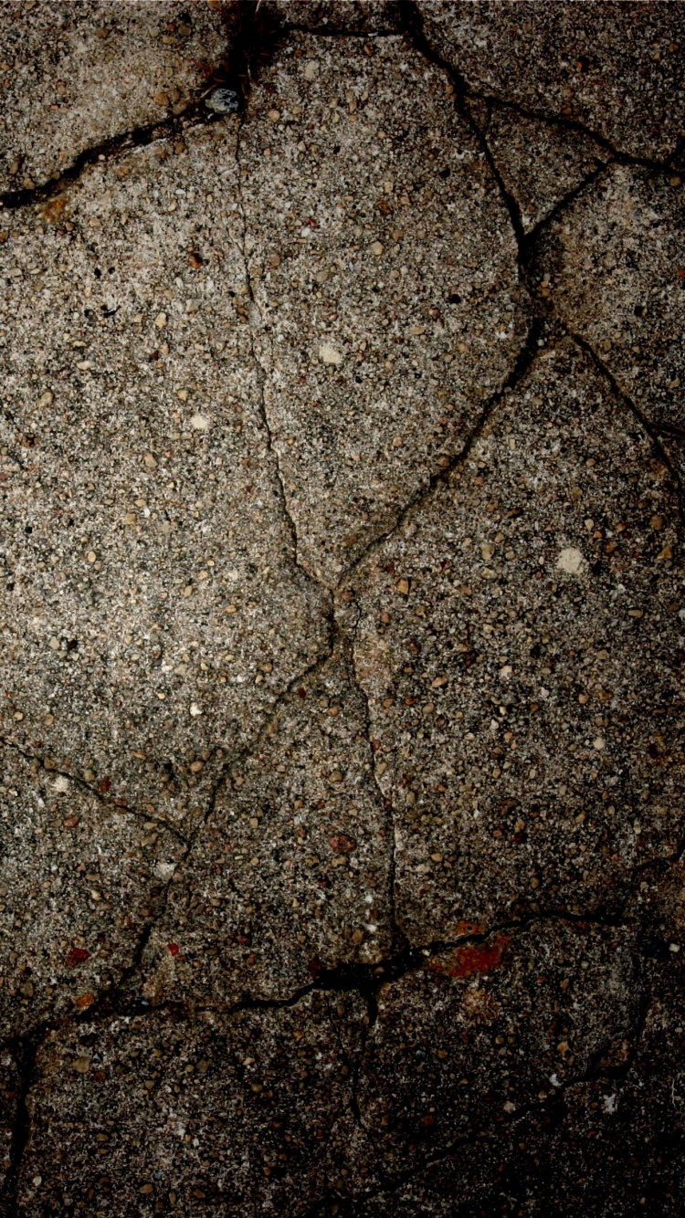 Braune Getrocknete Blätter Auf Grauem Betonboden. Wallpaper in 750x1334 Resolution