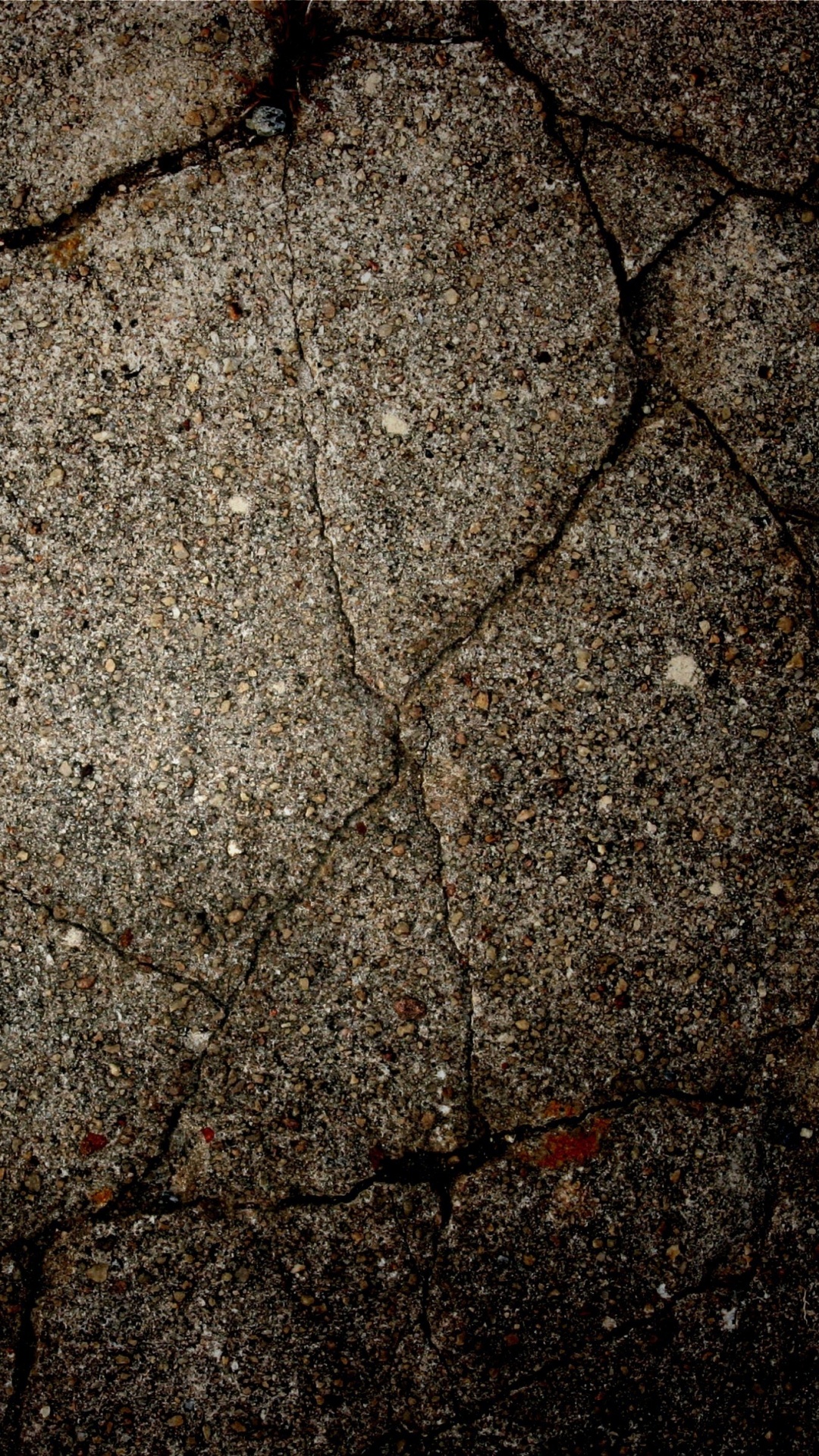 Hojas Secas Marrones Sobre Piso de Concreto Gris. Wallpaper in 1080x1920 Resolution